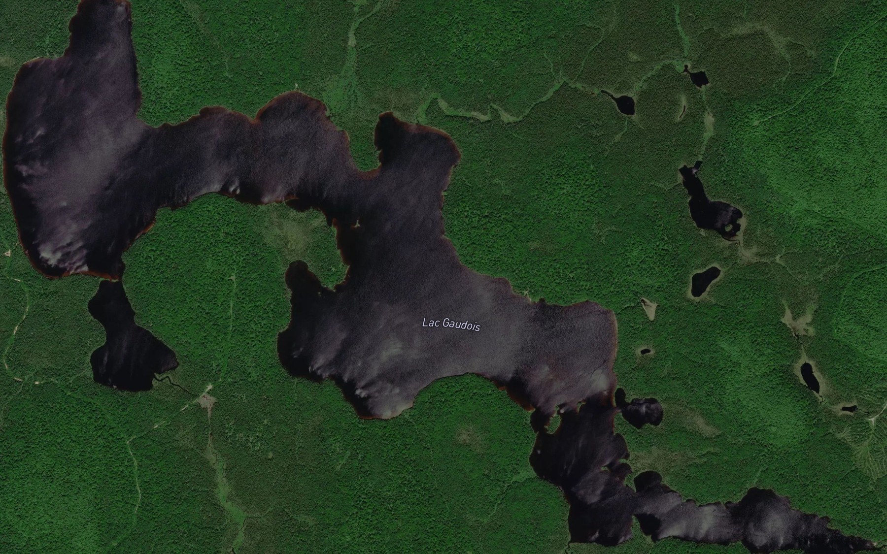 Satellite map of the Lac Gaudois