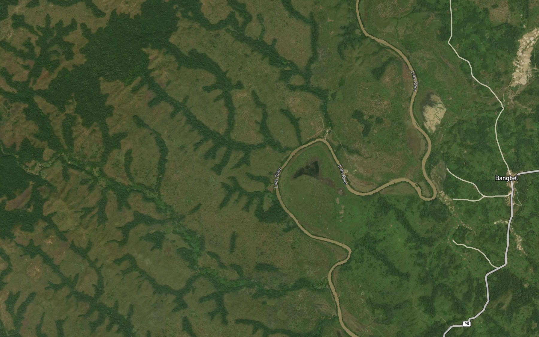 Satellite map of the Babongo