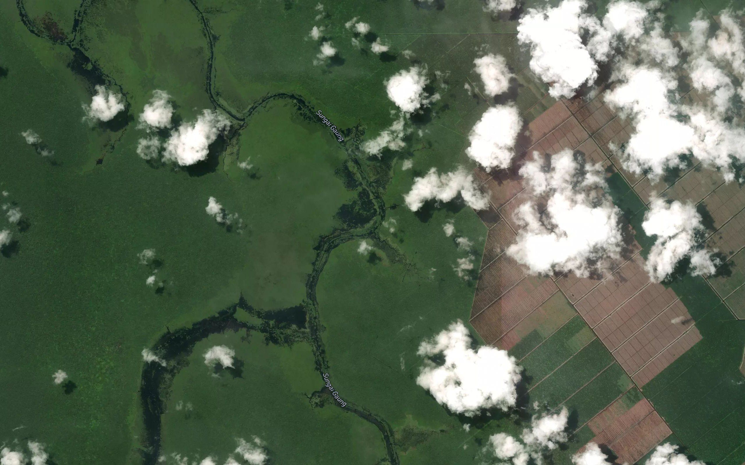 Sungai Kemudi Hilir