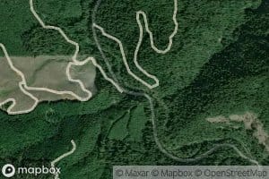 Coon Creek