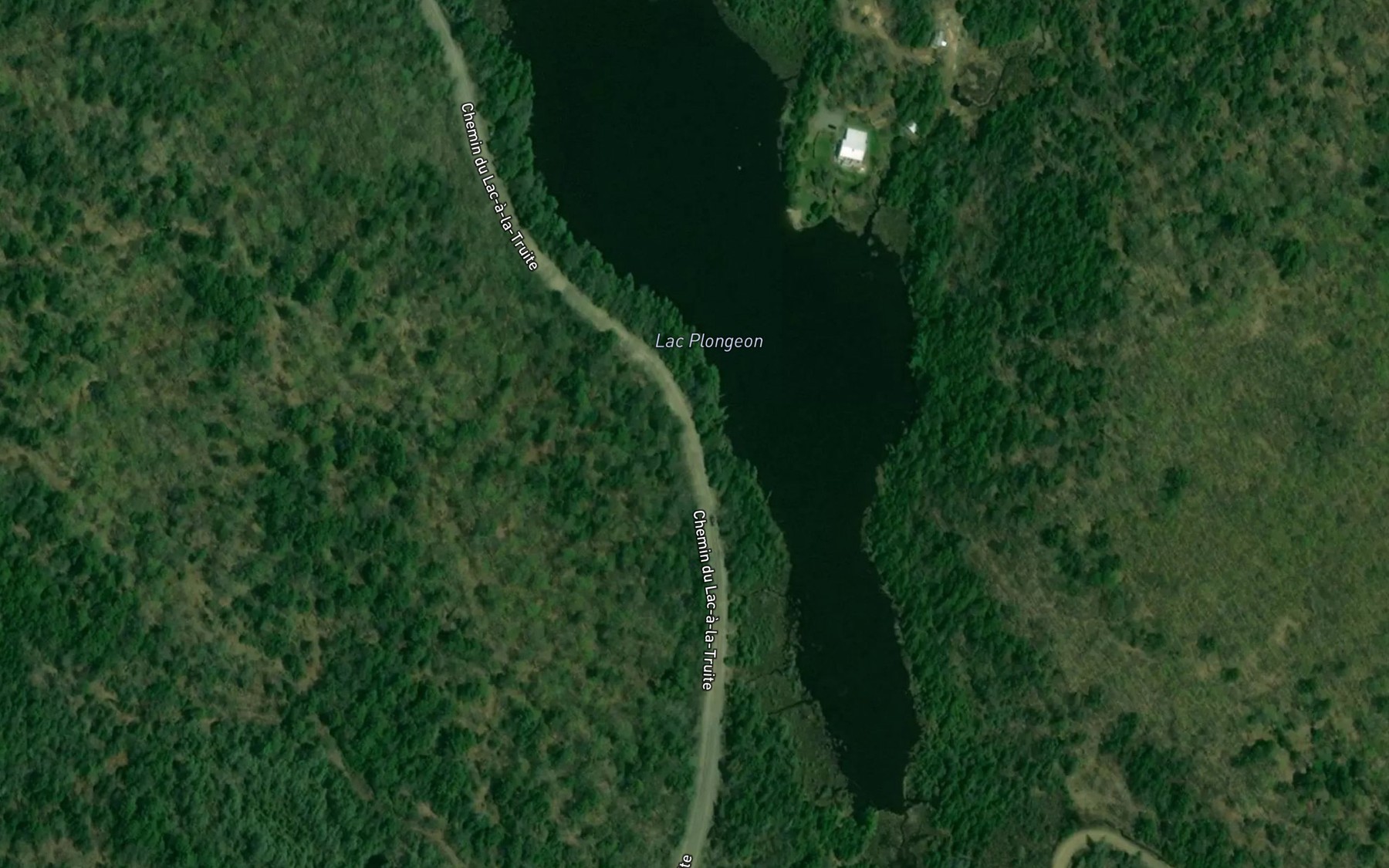 Satellite map of the Lac Plongeon