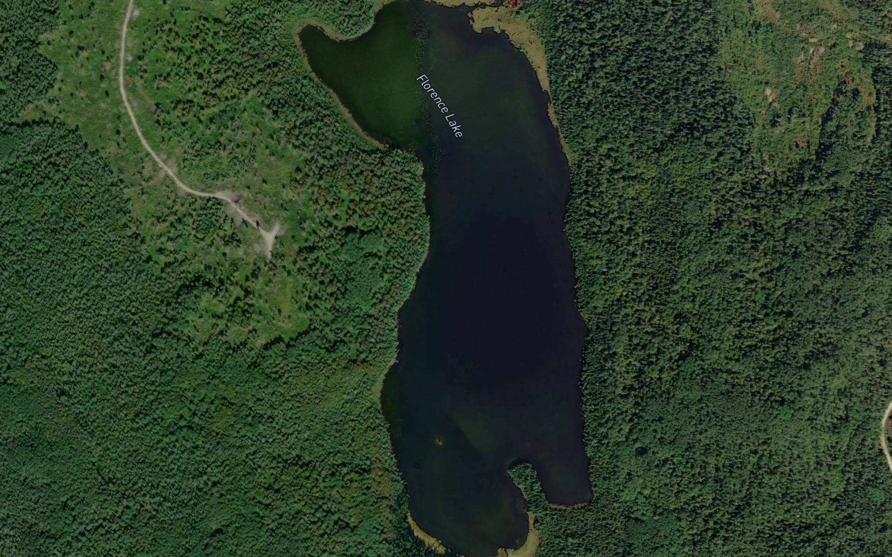 Satellite map of the Florence Lake
