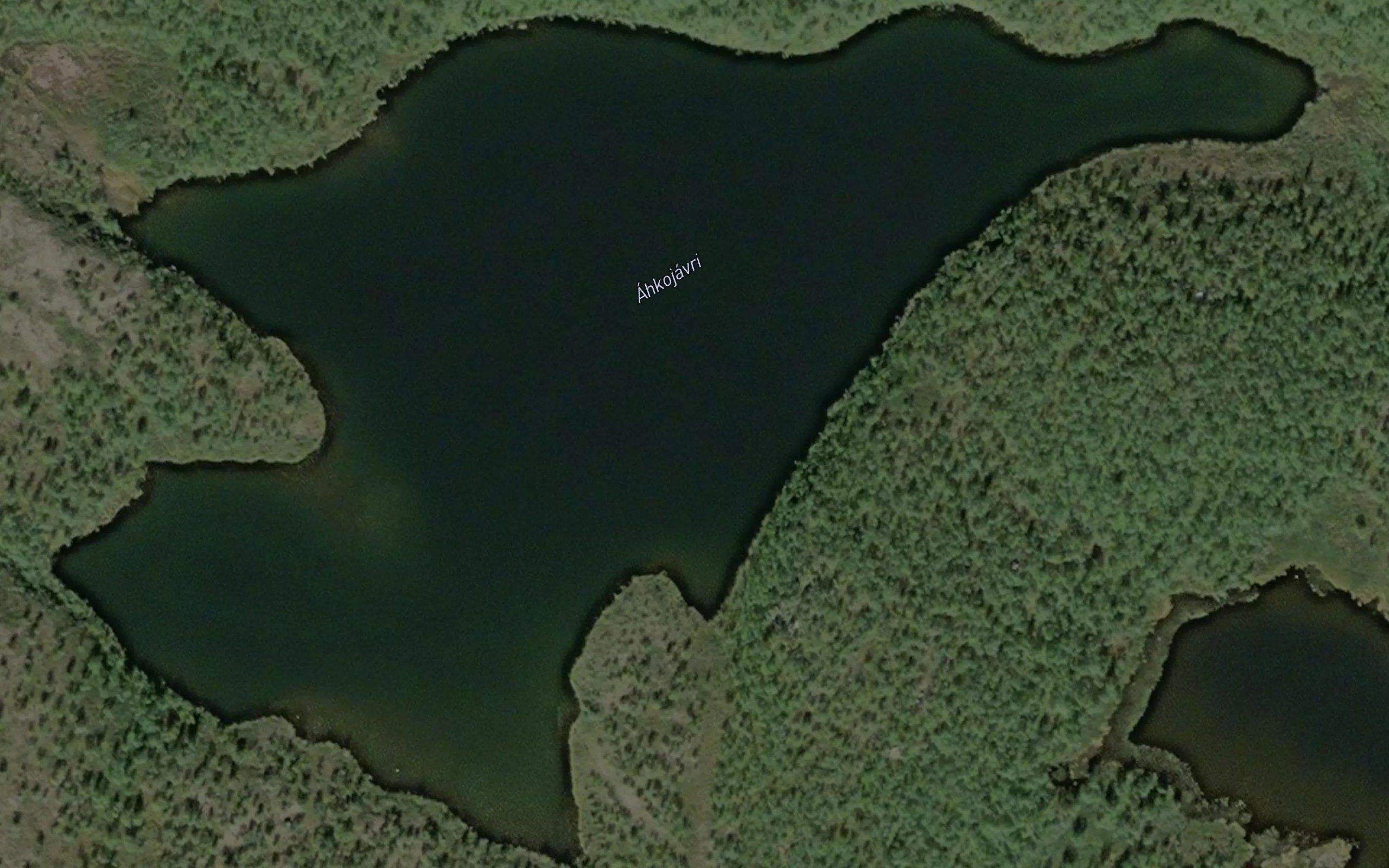 Akkujavri