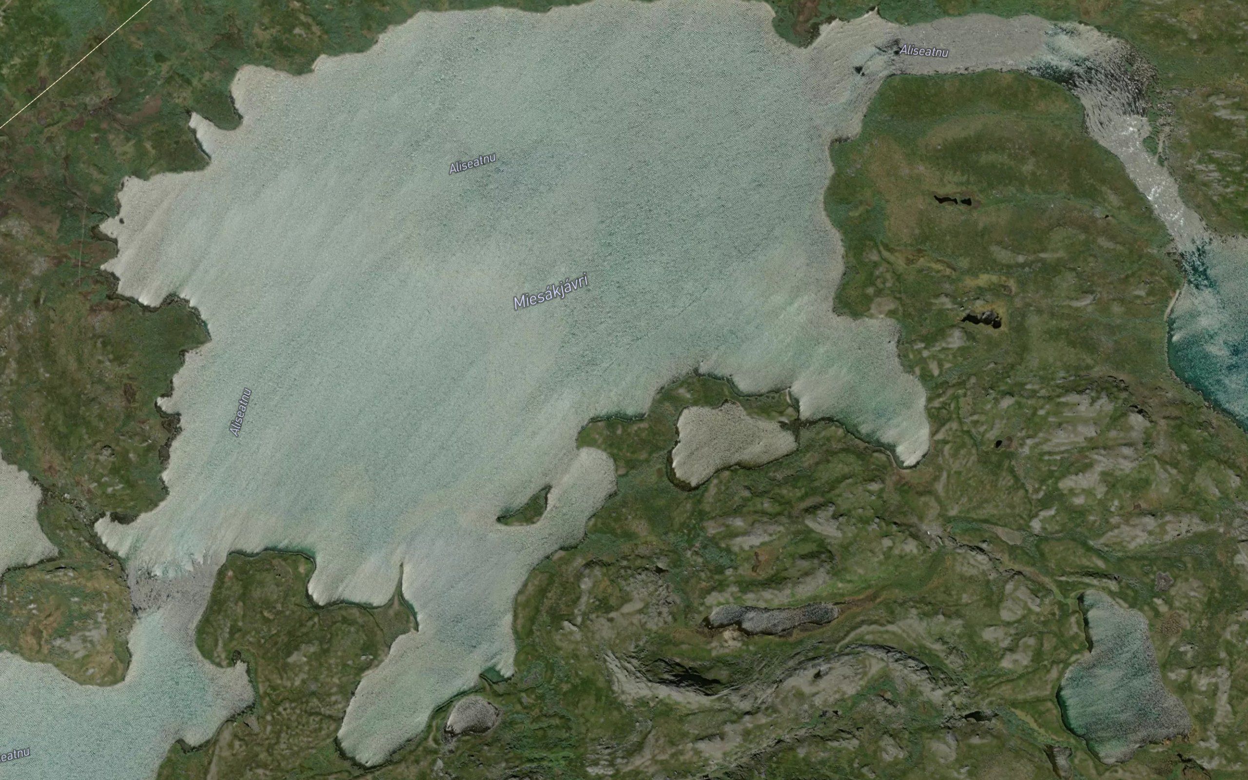 Miesakjavri