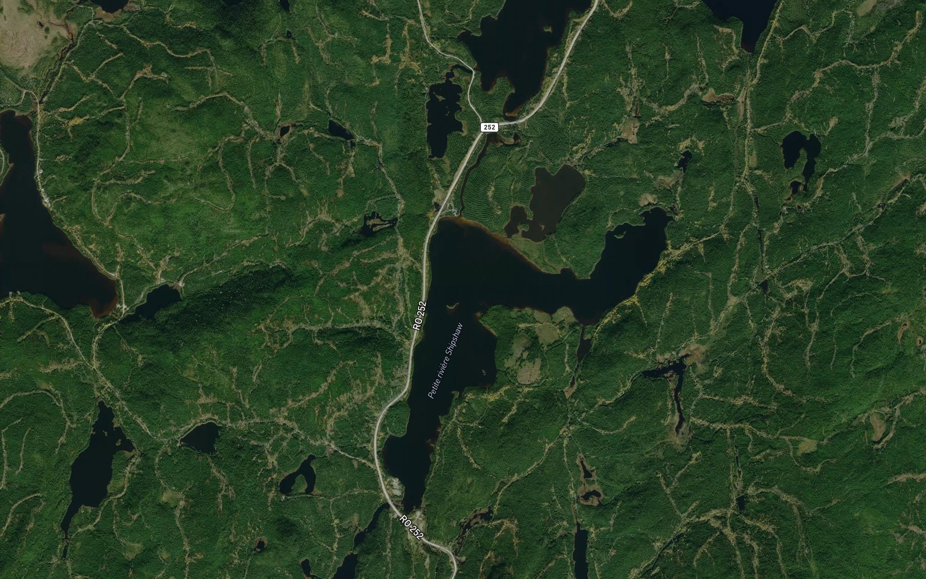 Satellite map of the Petit lac Shipshaw