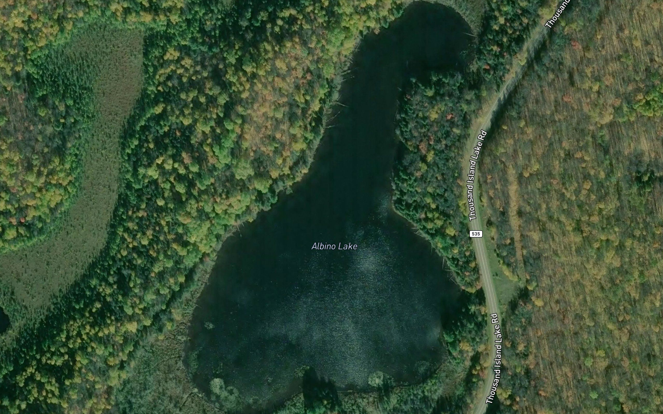 Albino Lake