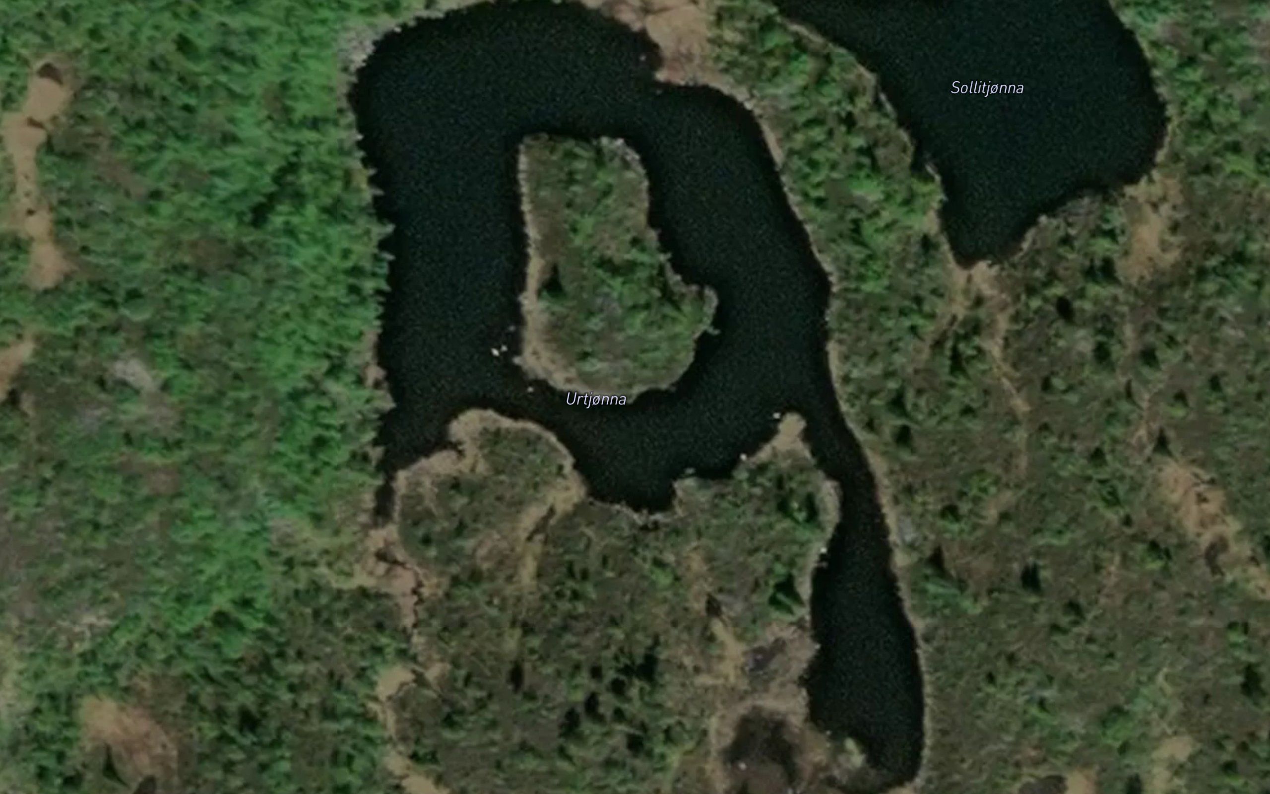 Urtjonna
