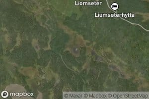 Lorttjernet