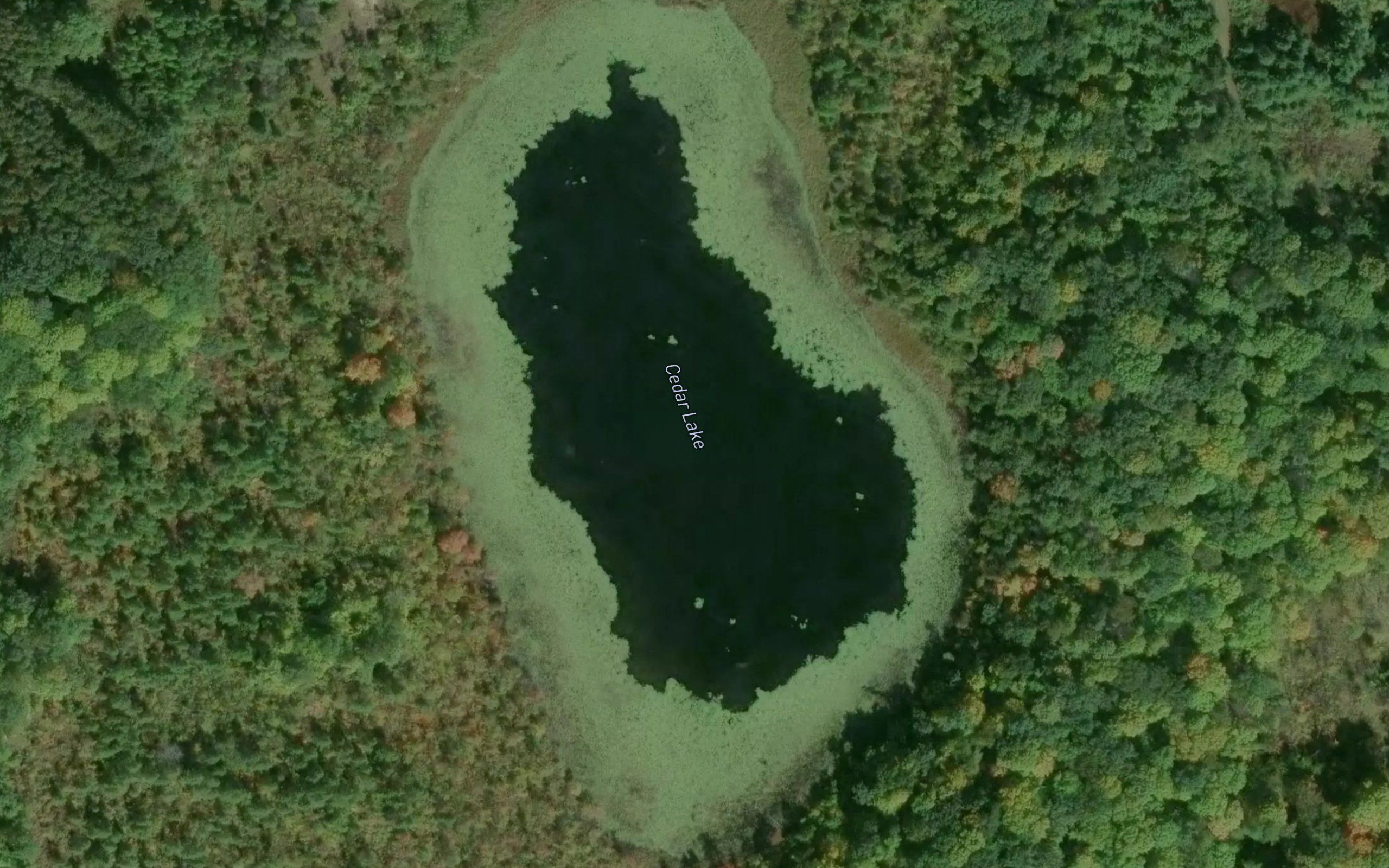 Cedar Lake
