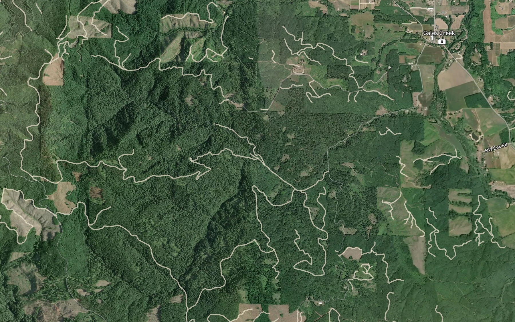 Satellite map of the Roaring Creek