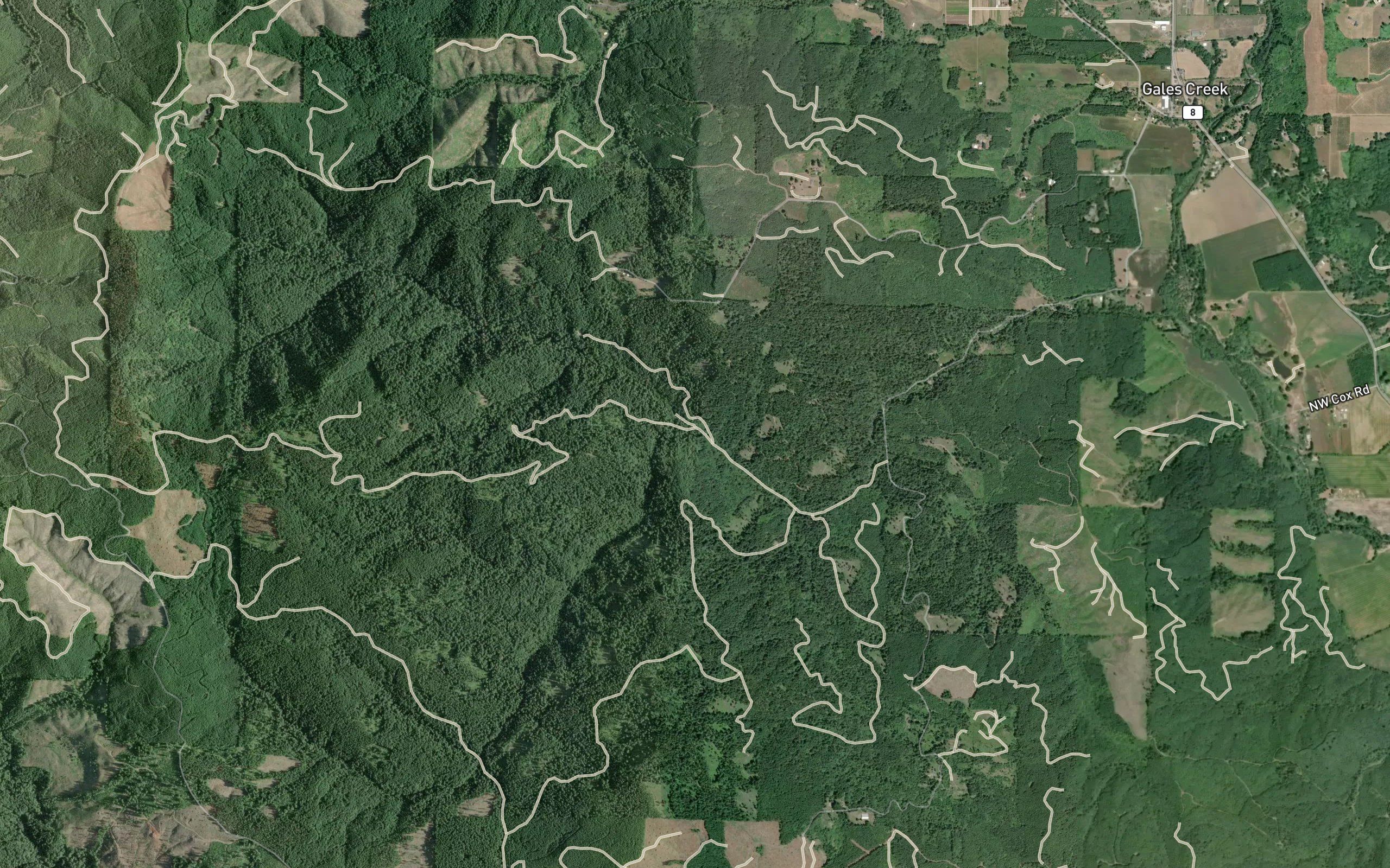Roaring Creek
