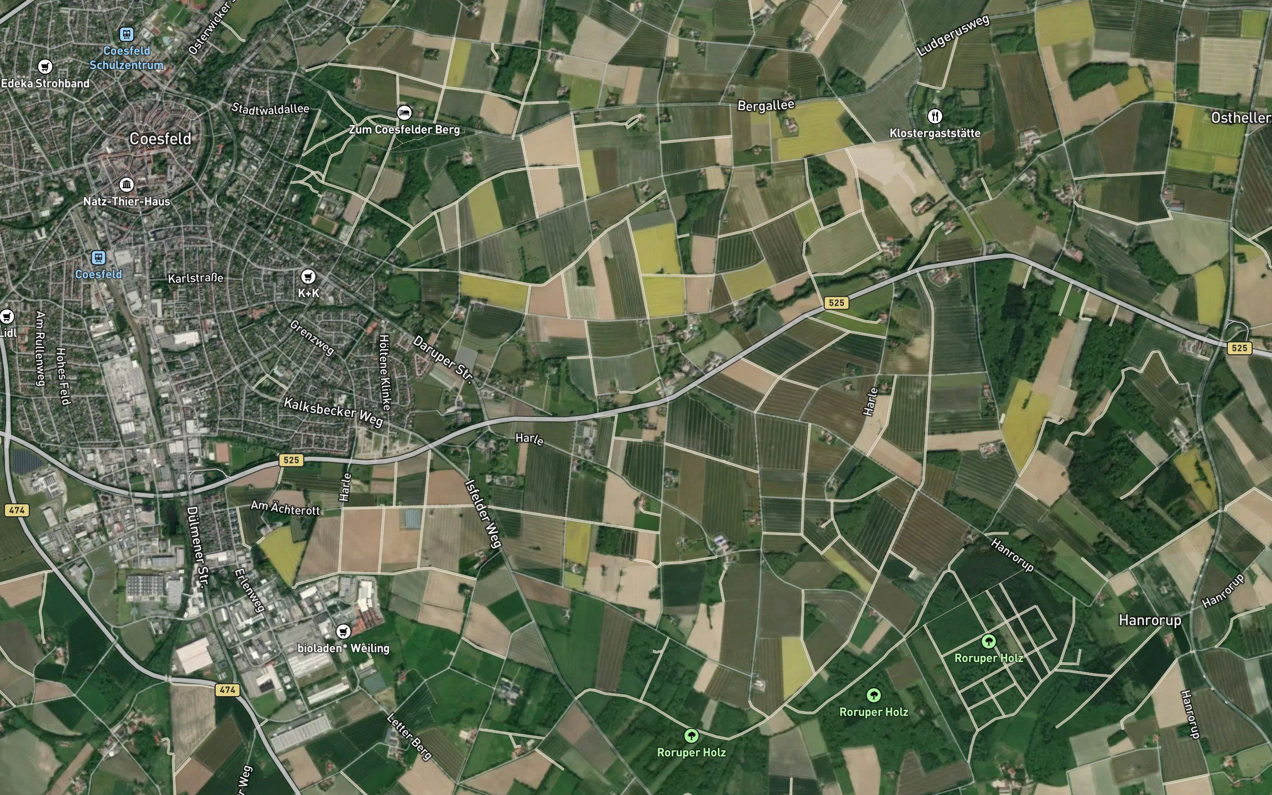 Honigbach