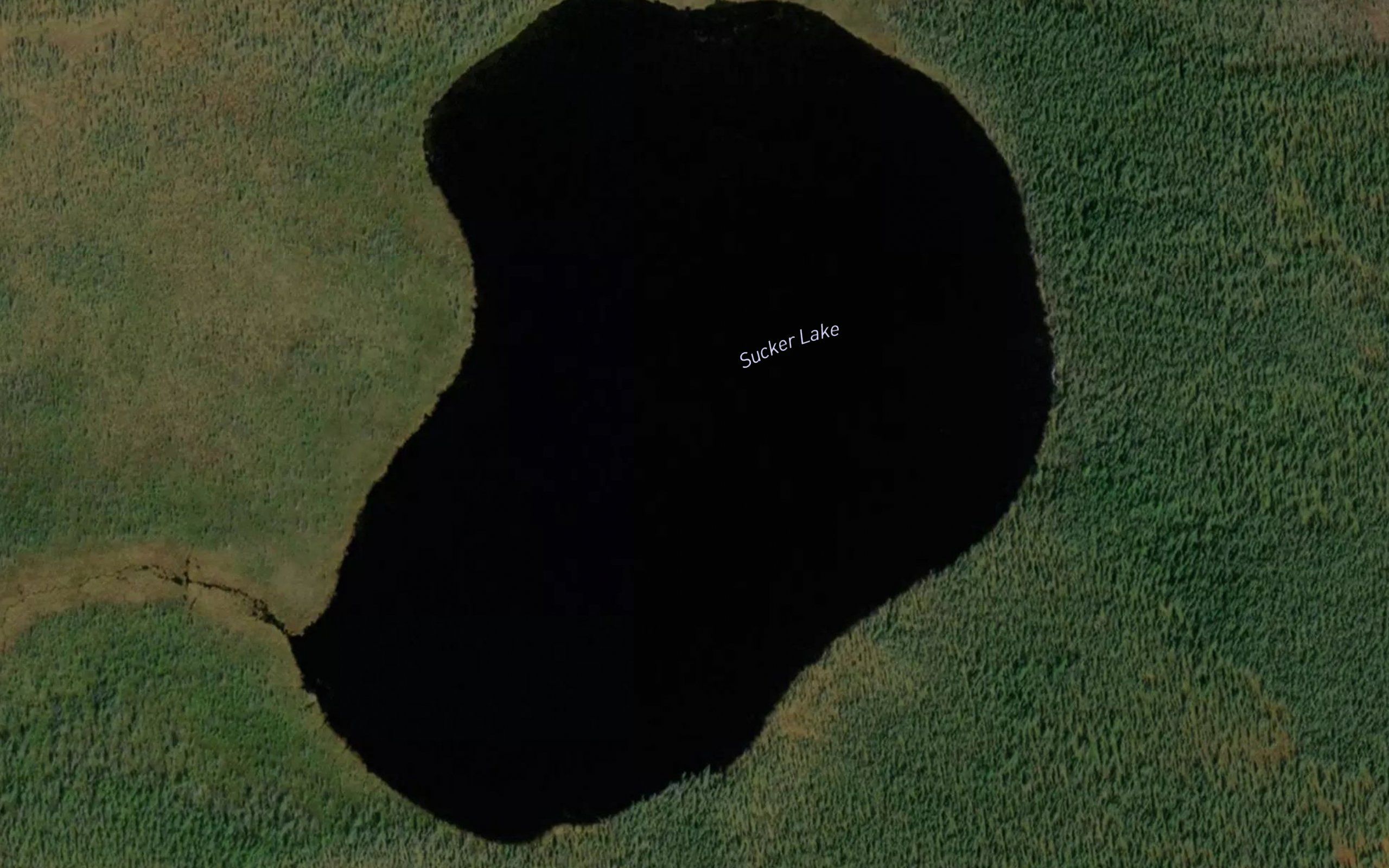 Sucker Lake