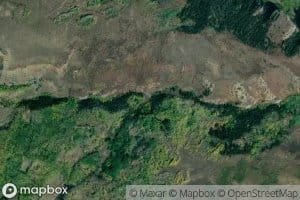 Darnell Creek