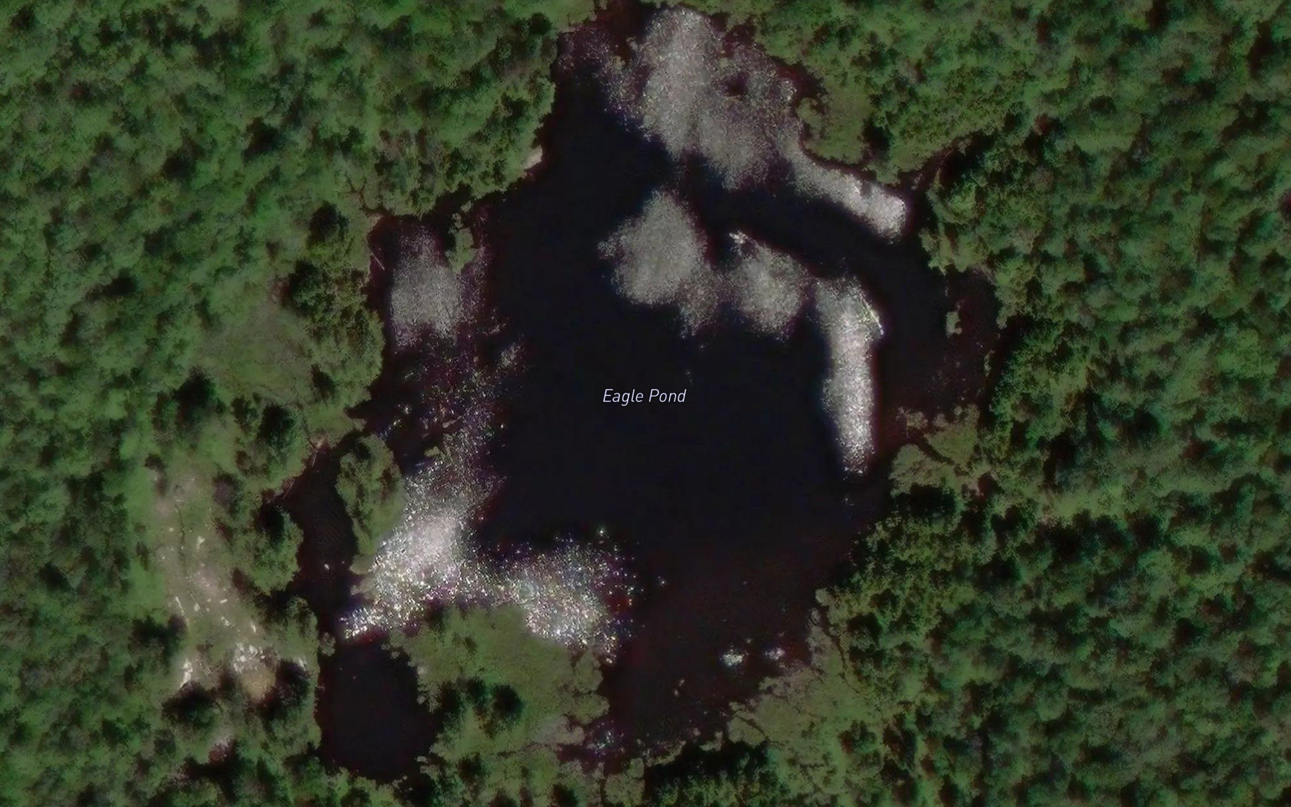 Eagle Pond