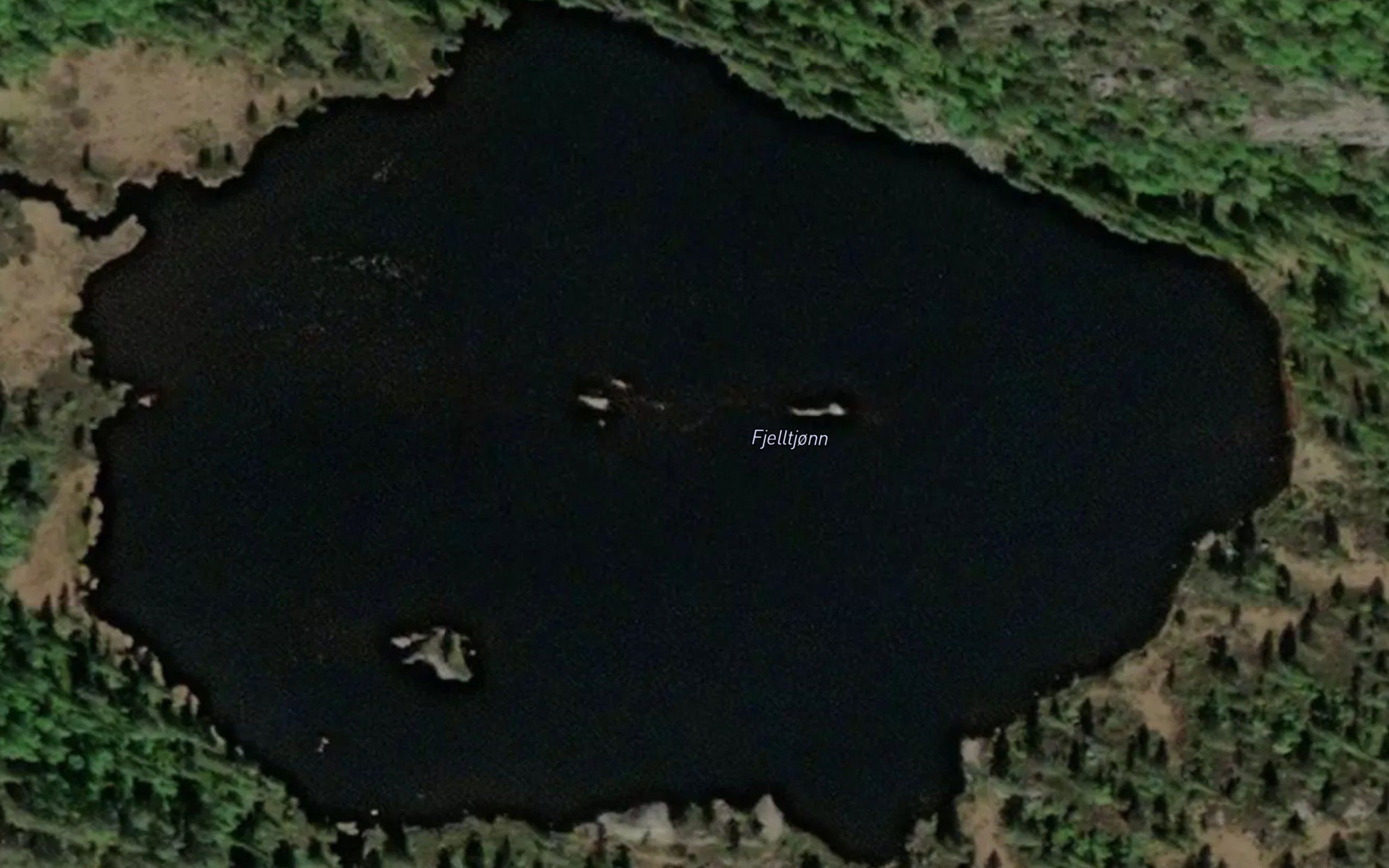 Fjelltjonn