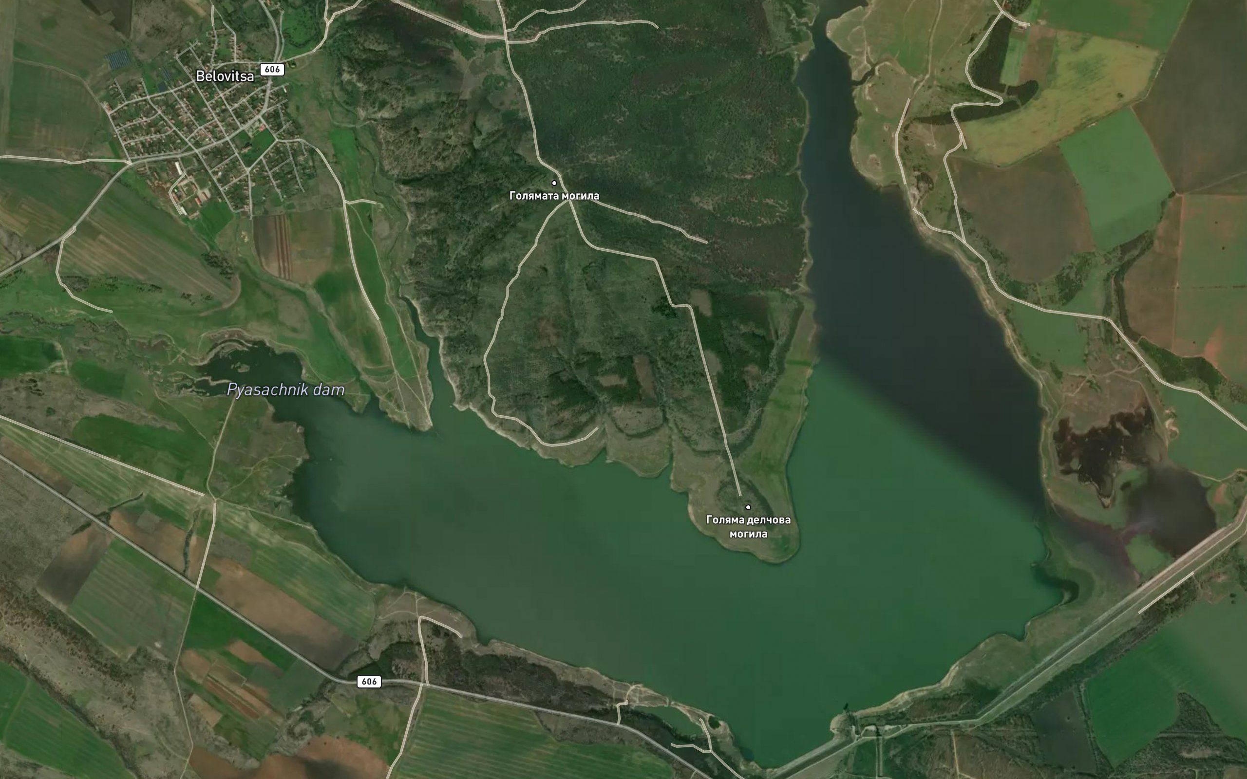 Pyasachnik