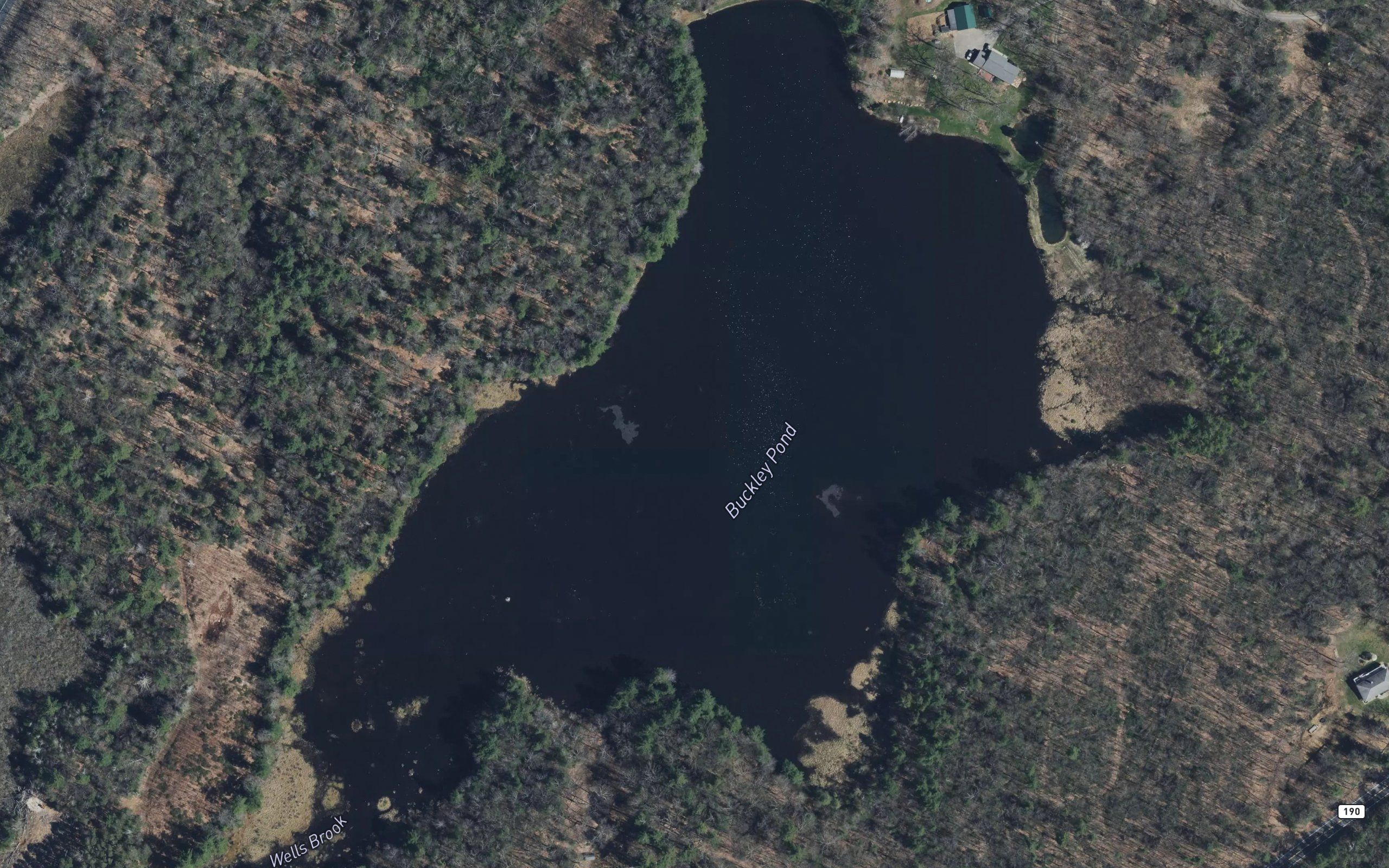 Buckley Pond