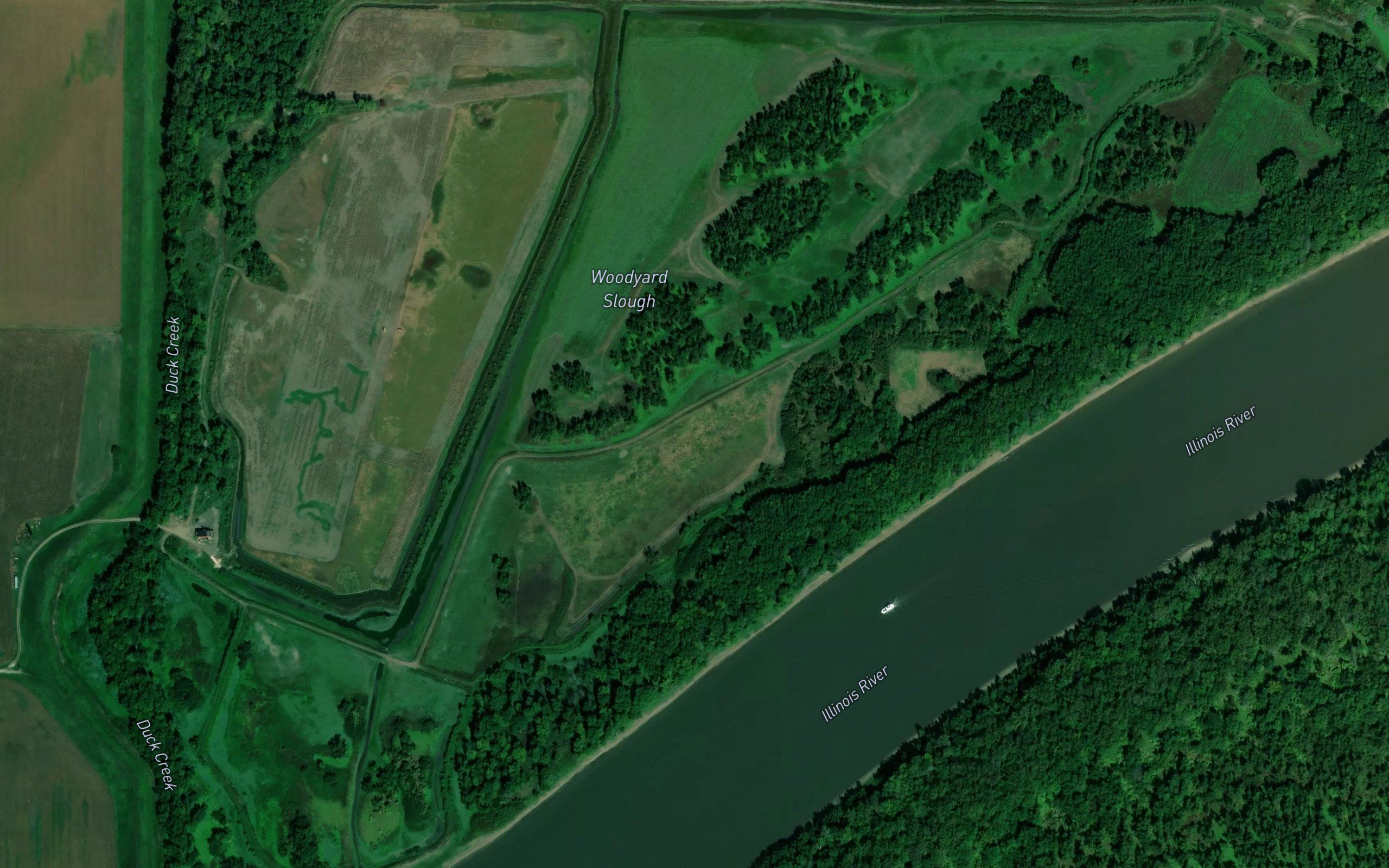 Woodyard Slough