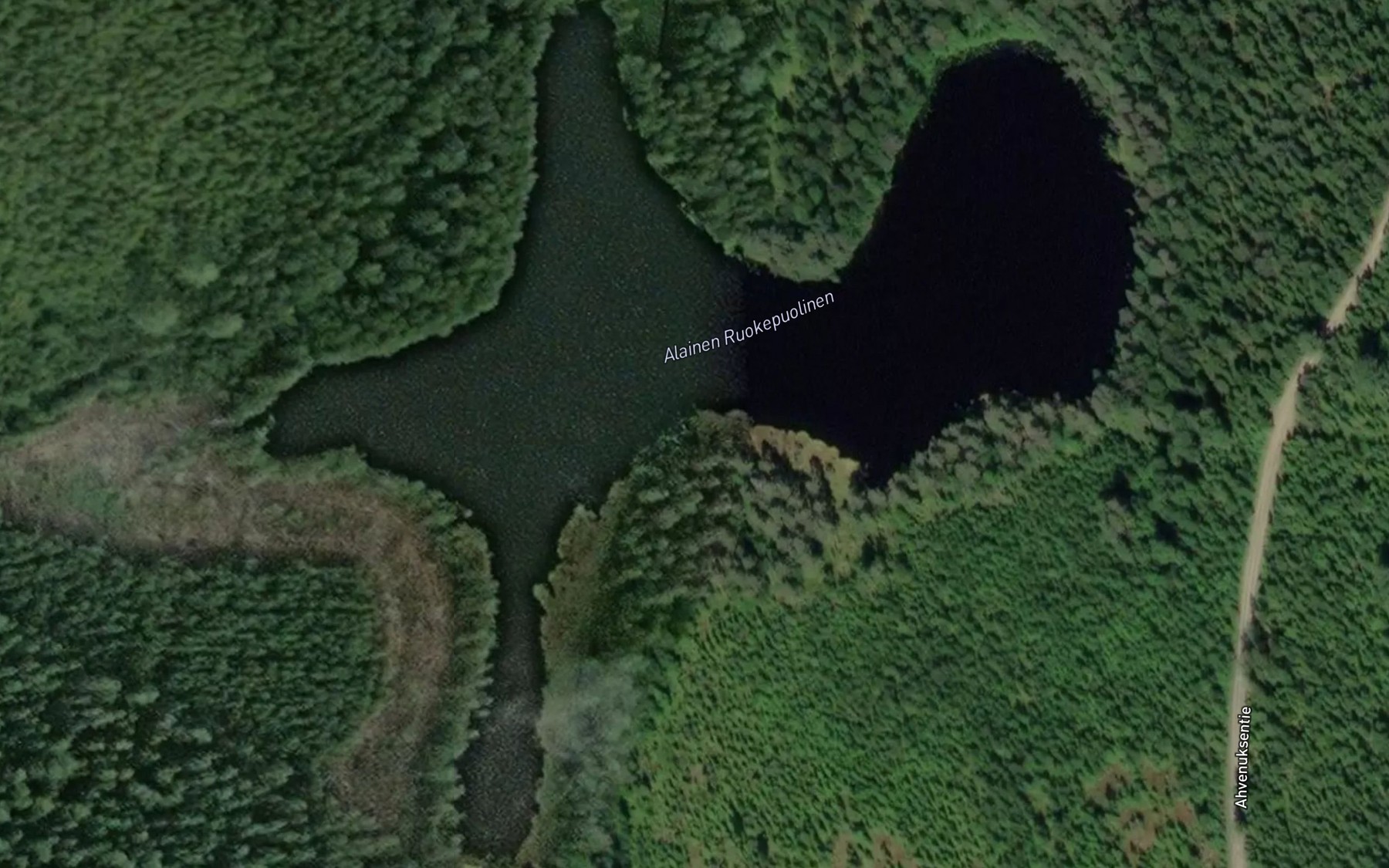 Satellite map of the Alainen Ruokepuolinen