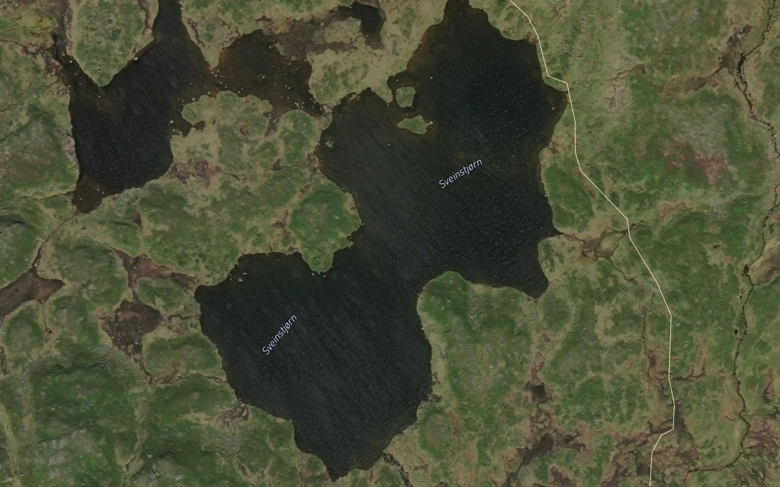 Sveinstjorn