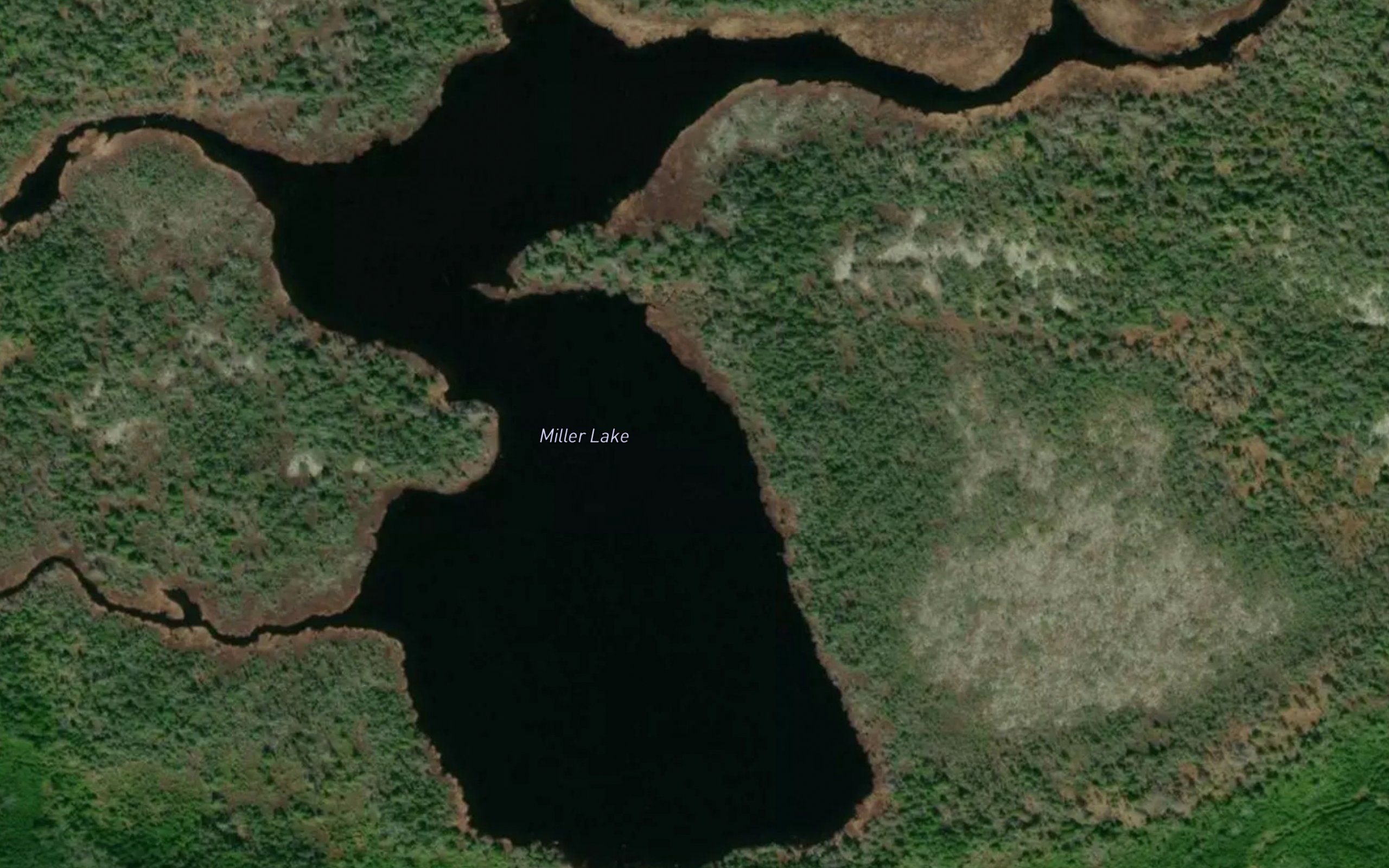 Miller Lake