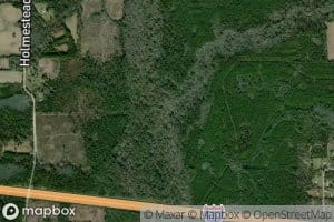 Alligator Creek