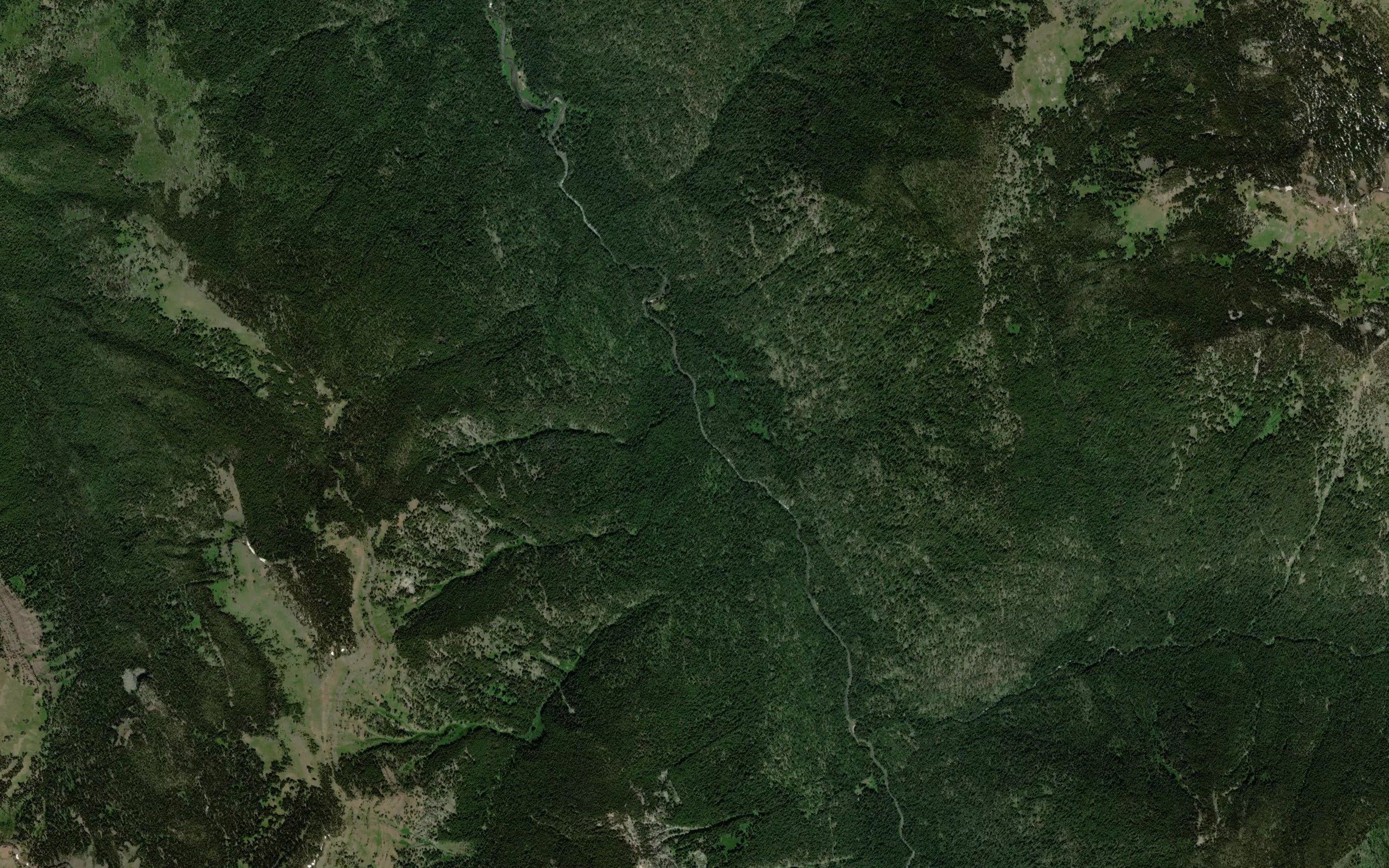 Jerry Creek