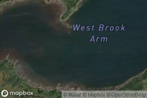 West Brook Arm