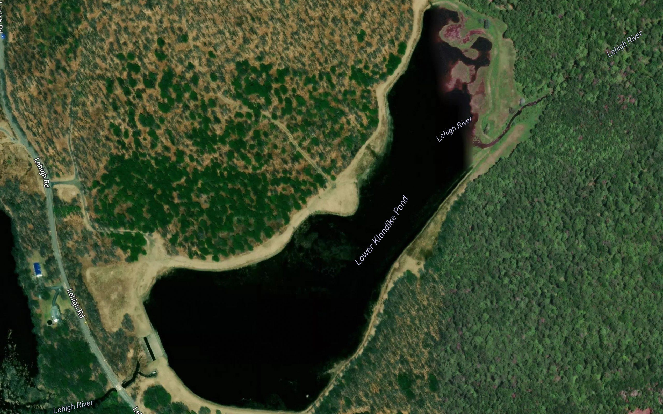 Lower Klondike Pond