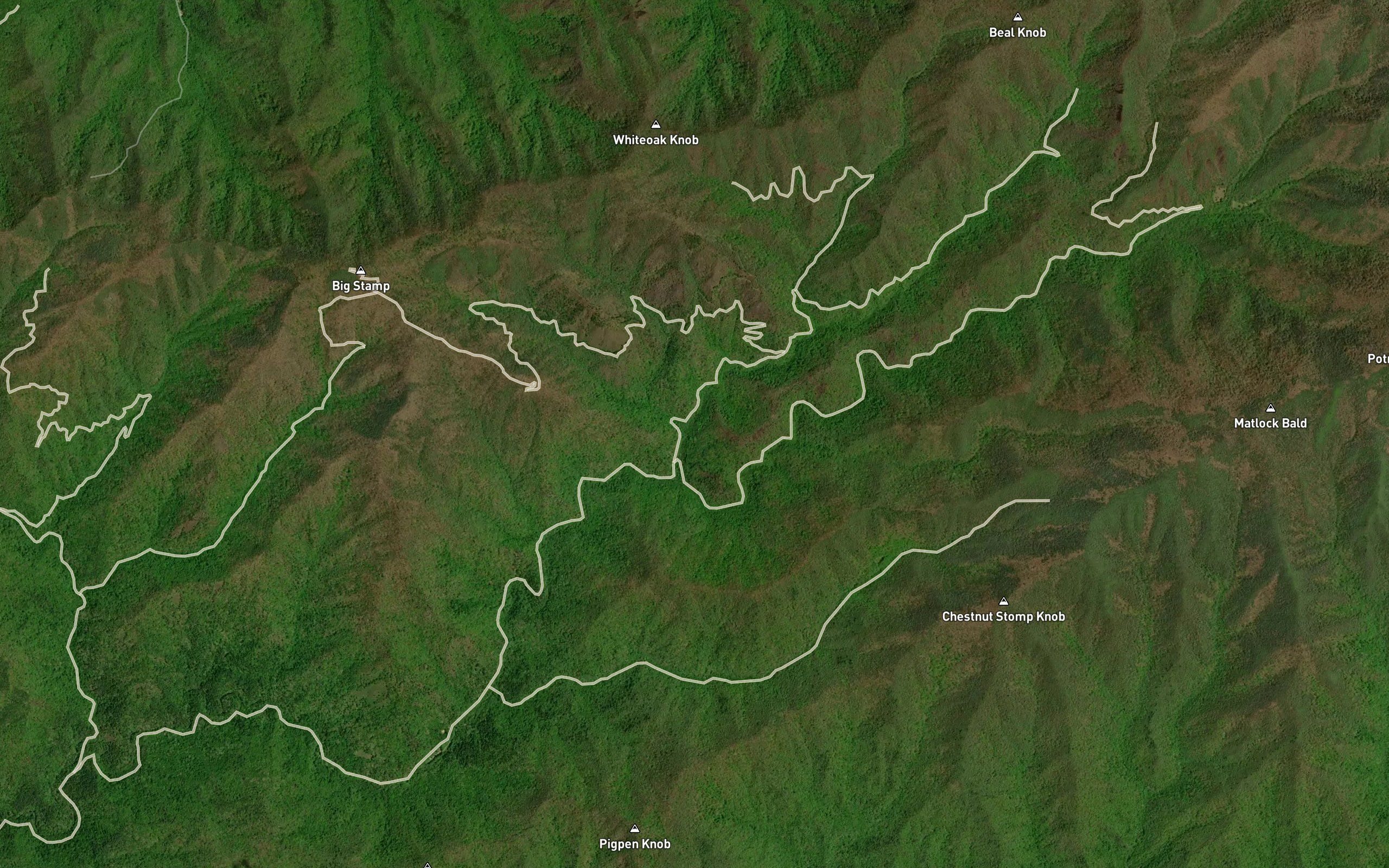 Coldspring Branch
