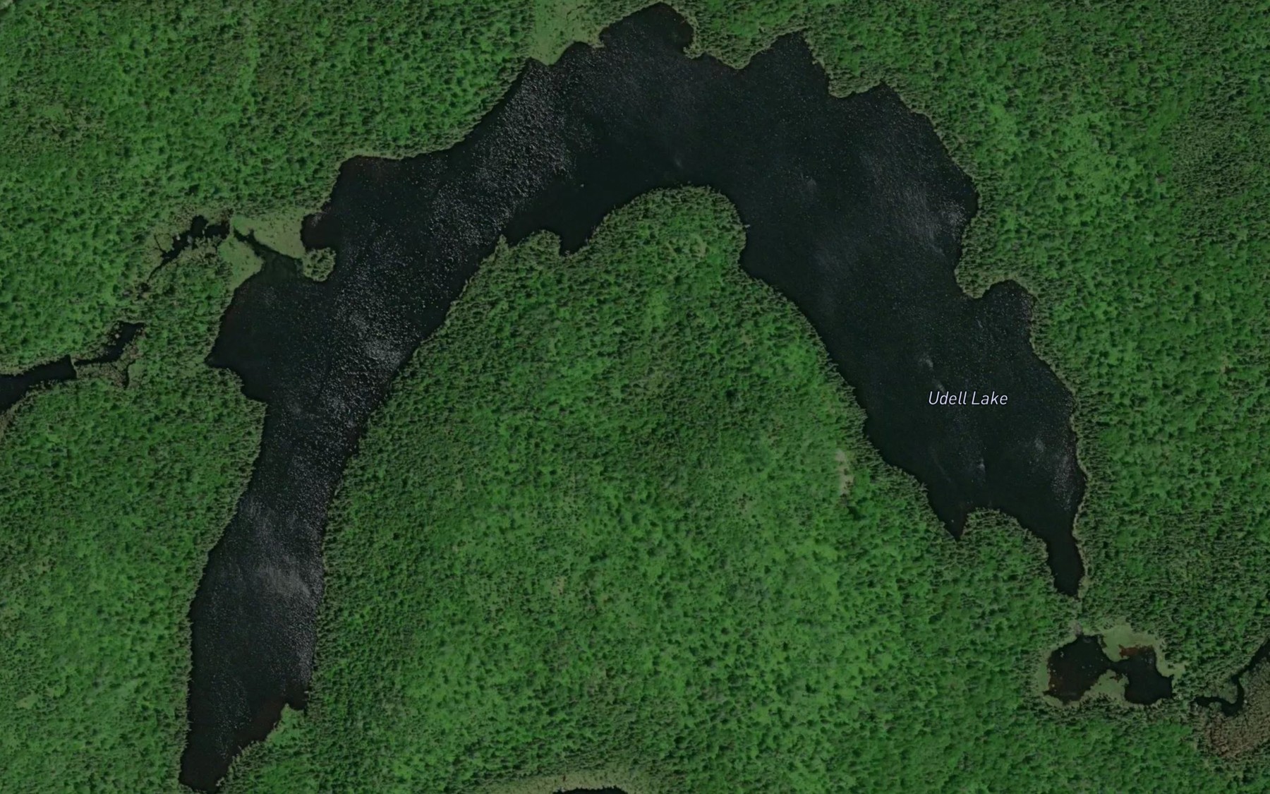 Satellite map of the Udell Lake