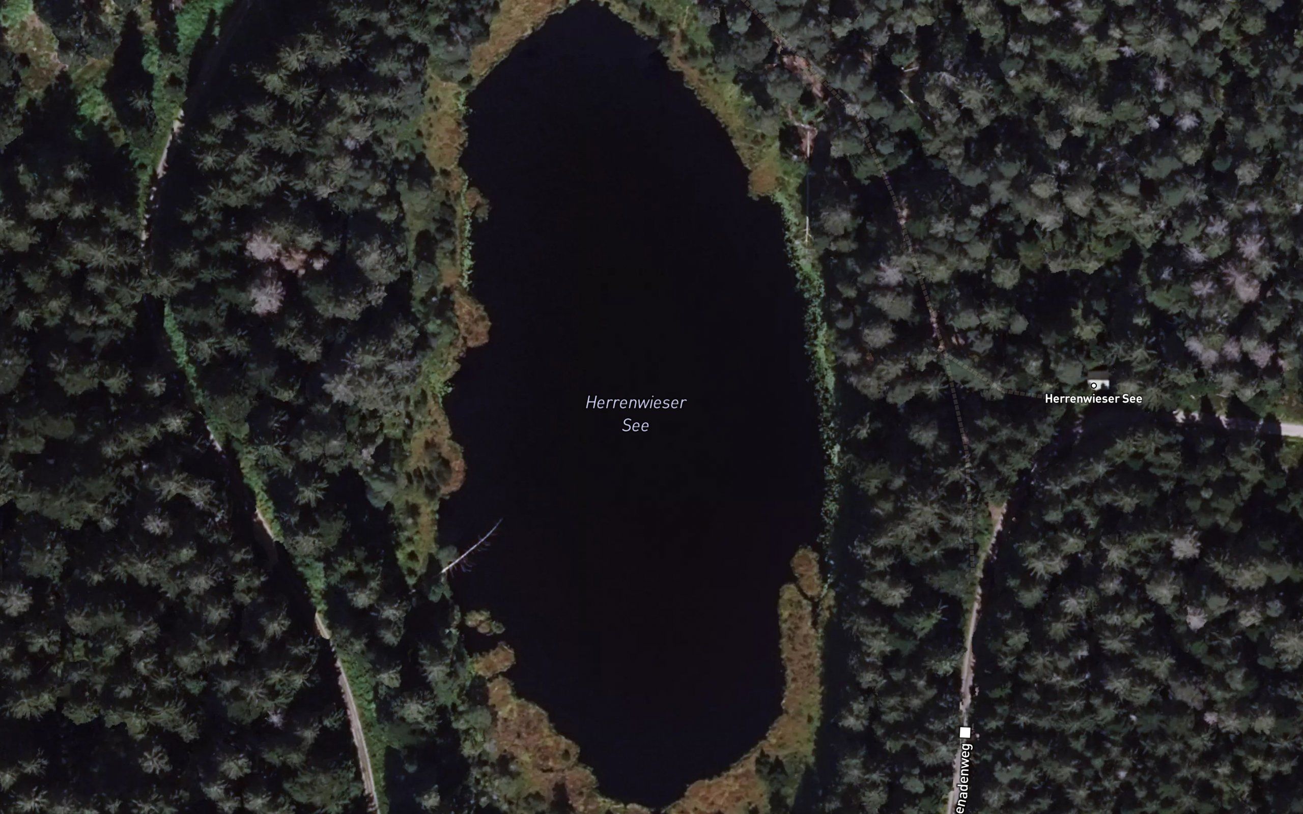 Herrenwieser See