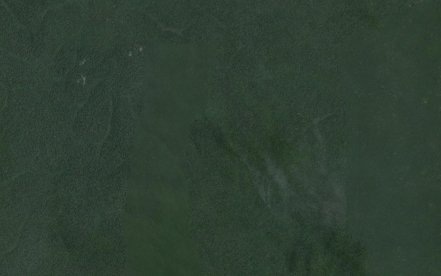 Satellite map of the Goba