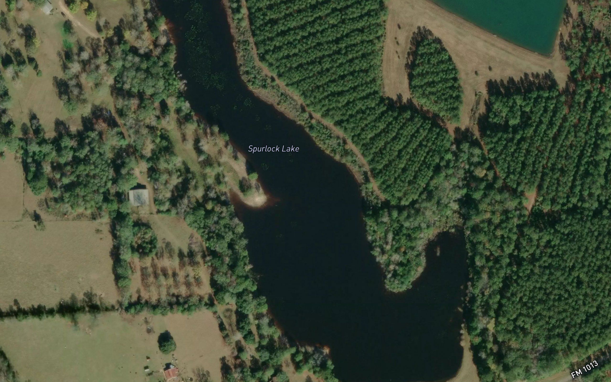 Spurlock Lake