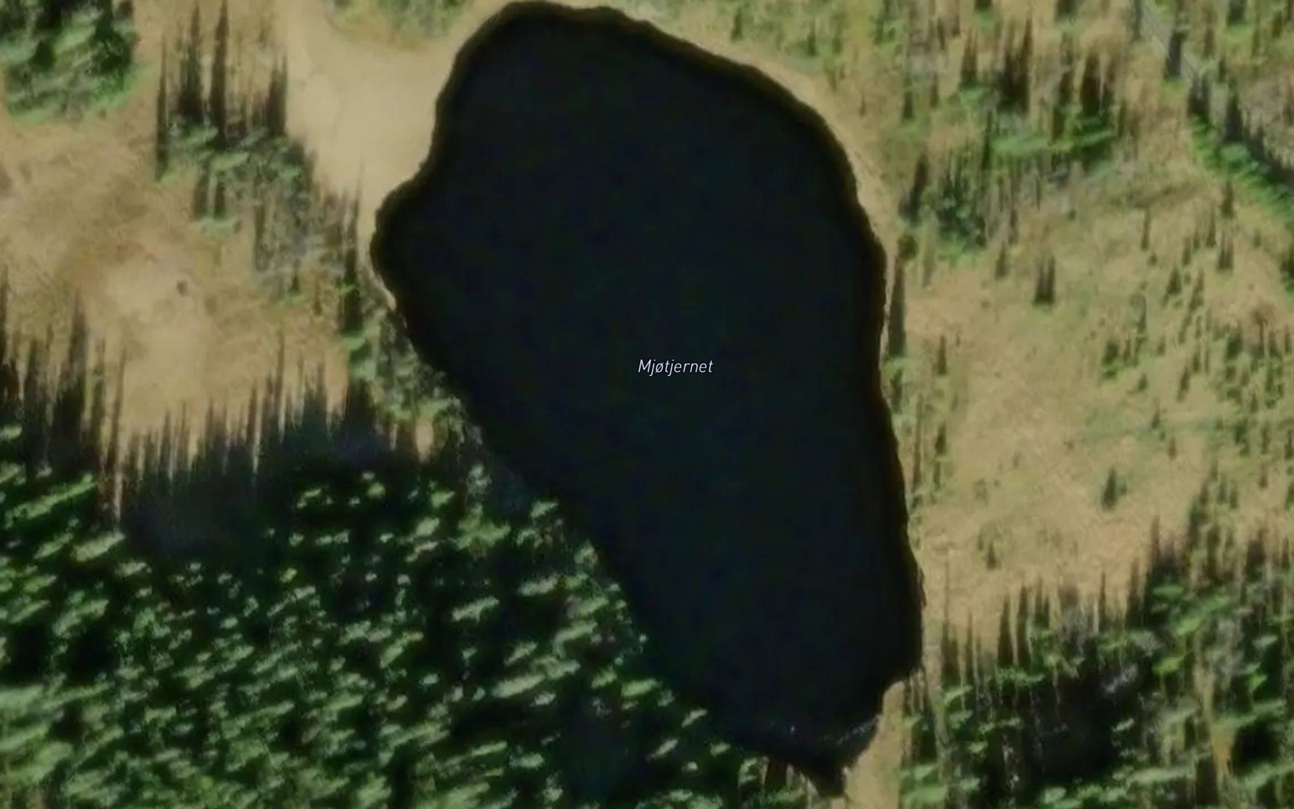 Mjotjednet