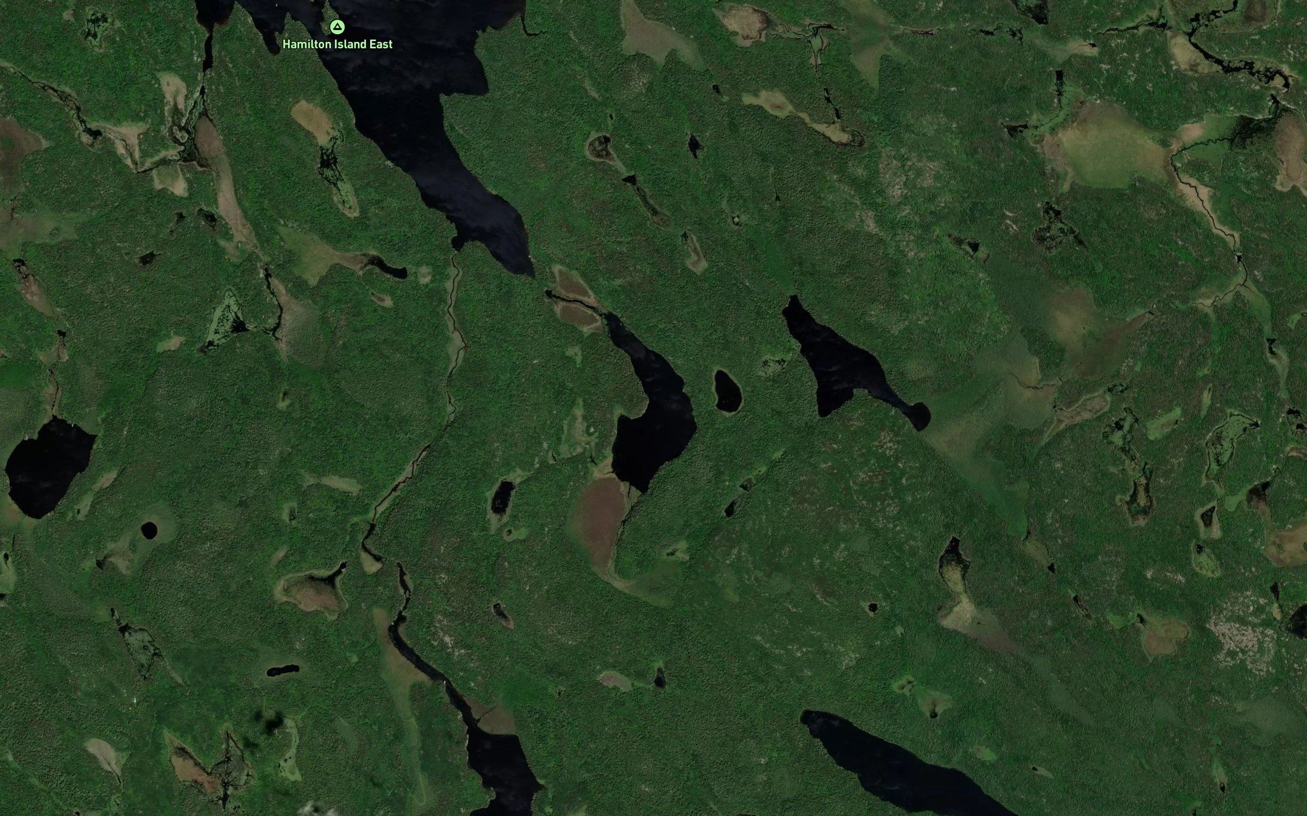 Net Lake