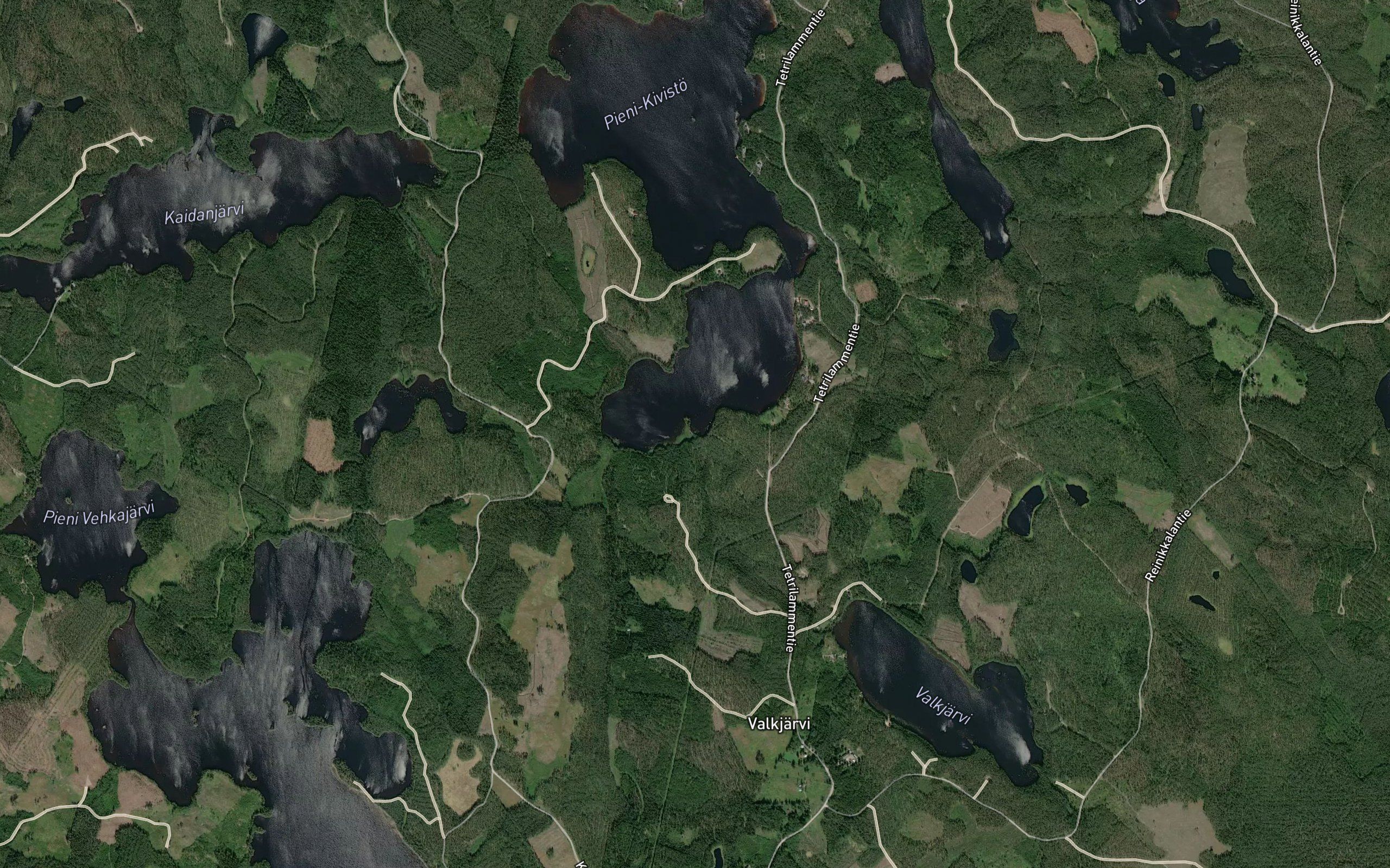 Portinjoki