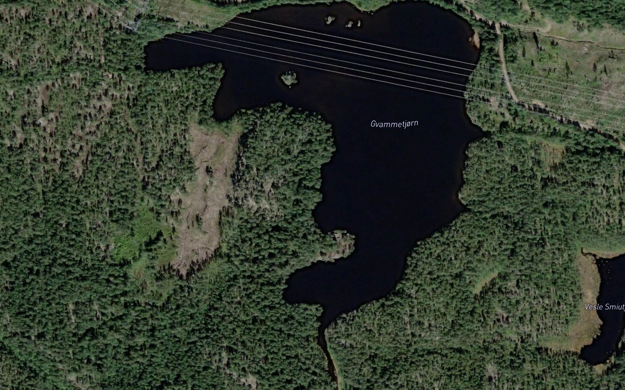 Gvammetjorn