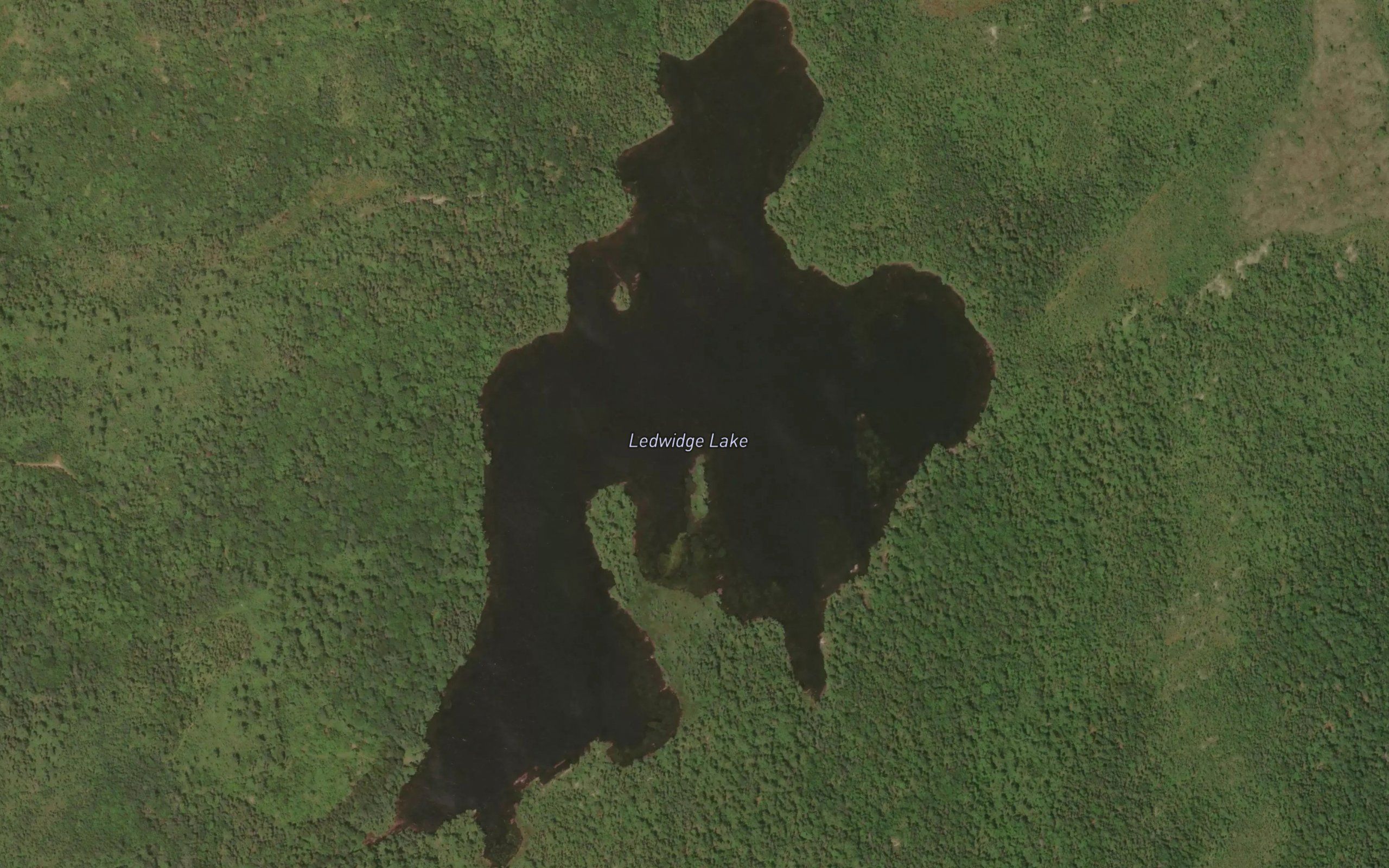 Ledwidge Lake