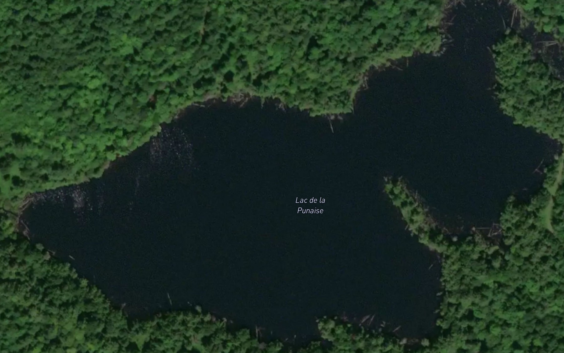 Satellite map of the Lac de la Punaise