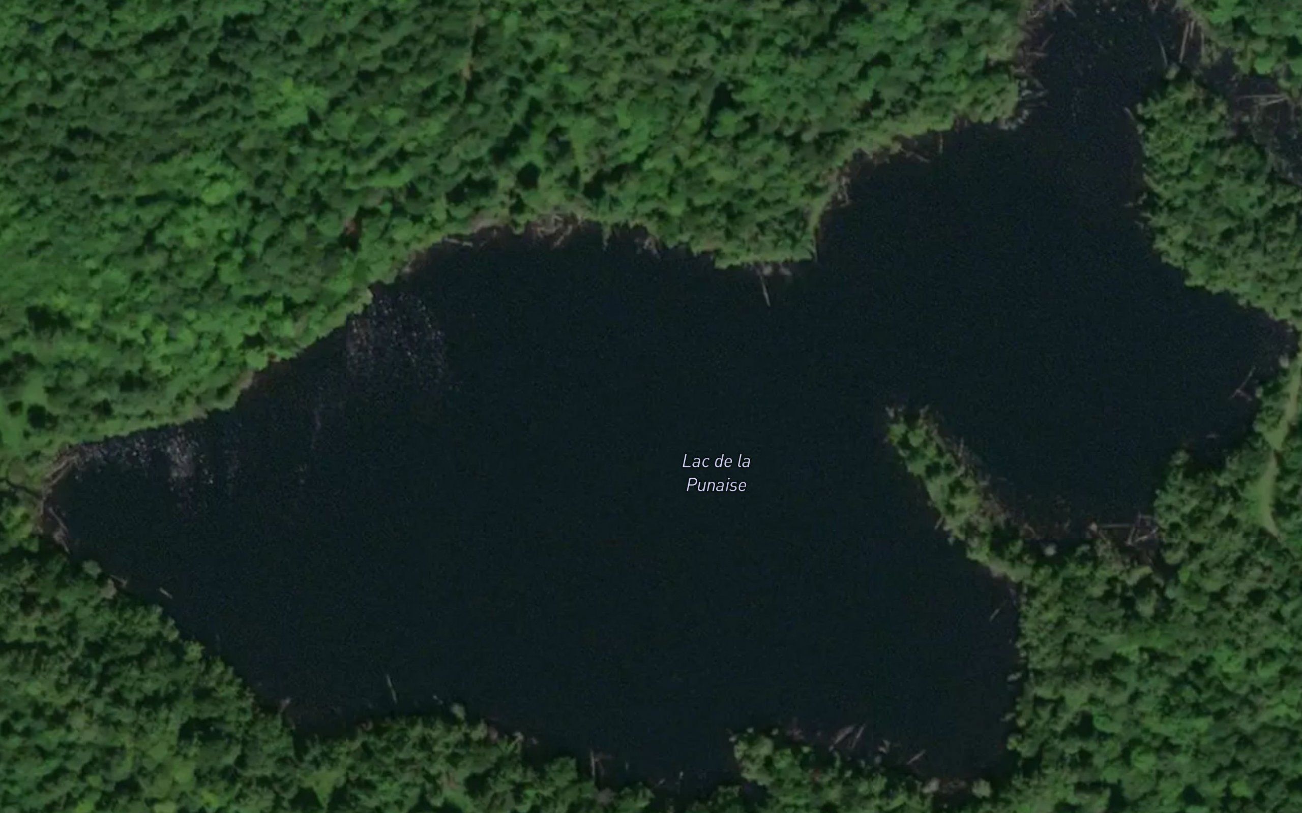 Lac de la Punaise