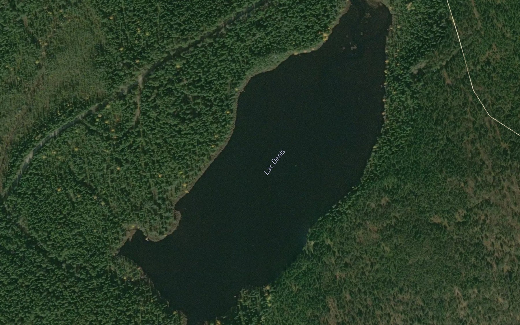 Satellite map of the Lac Denis