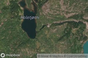 Vetlatjorn