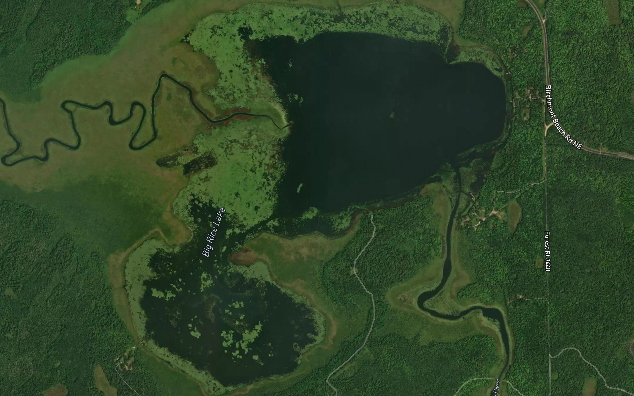Big Rice Lake