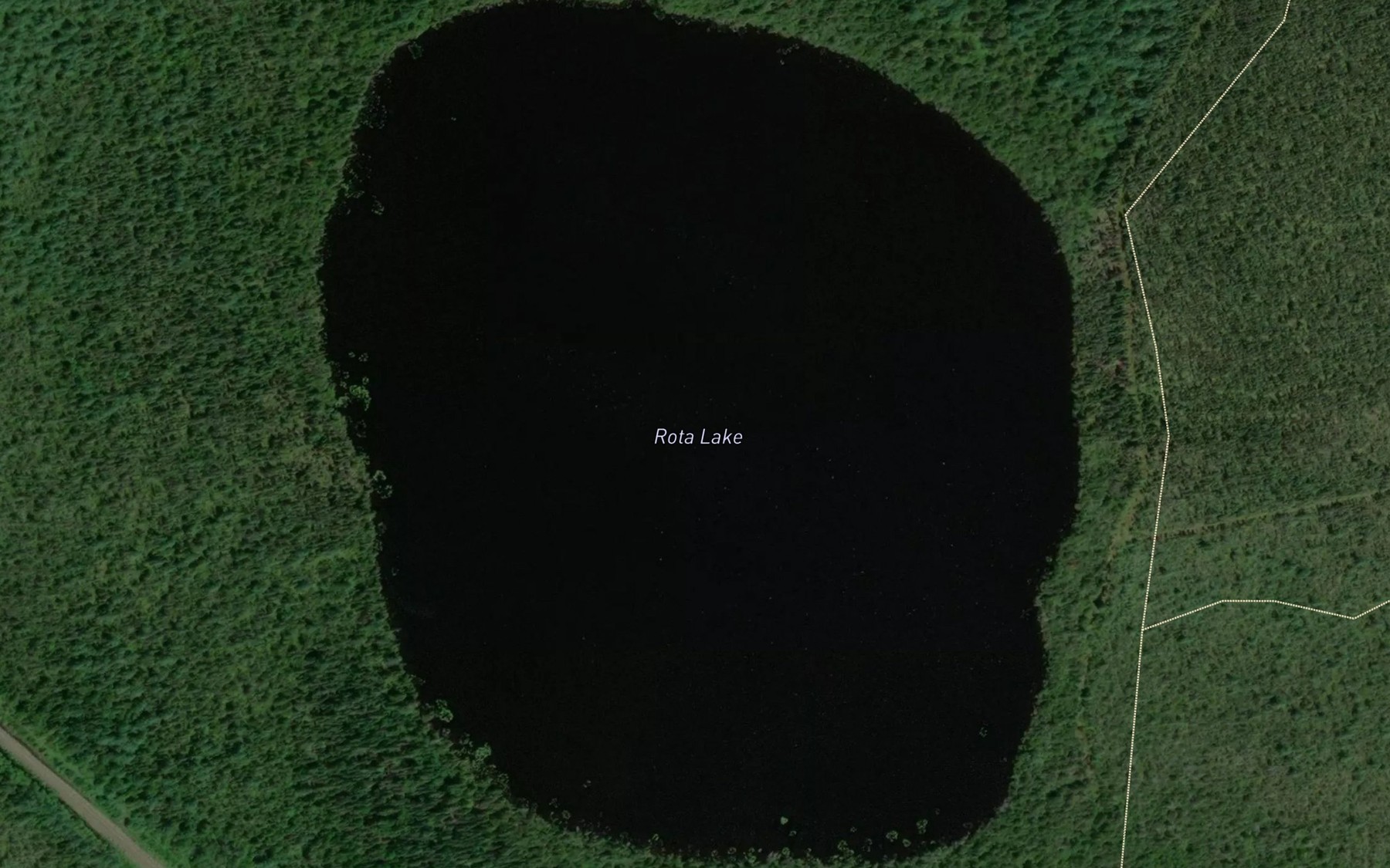 Satellite map of the Rota Lake