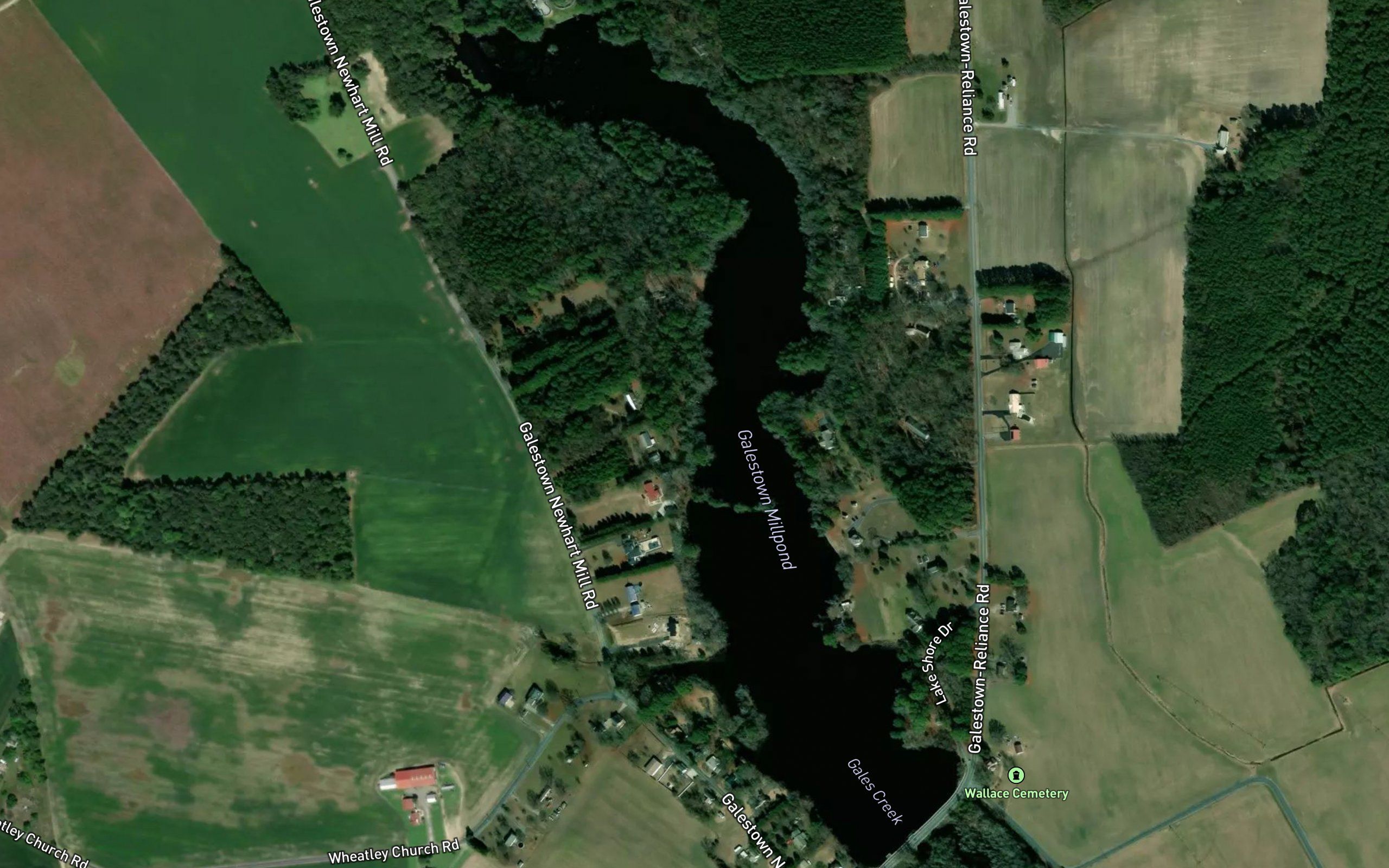 Galestown Millpond