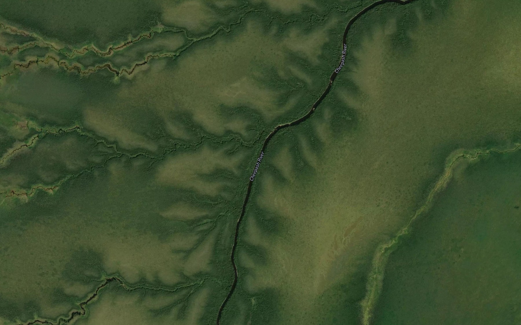 Satellite map of the Survey Creek