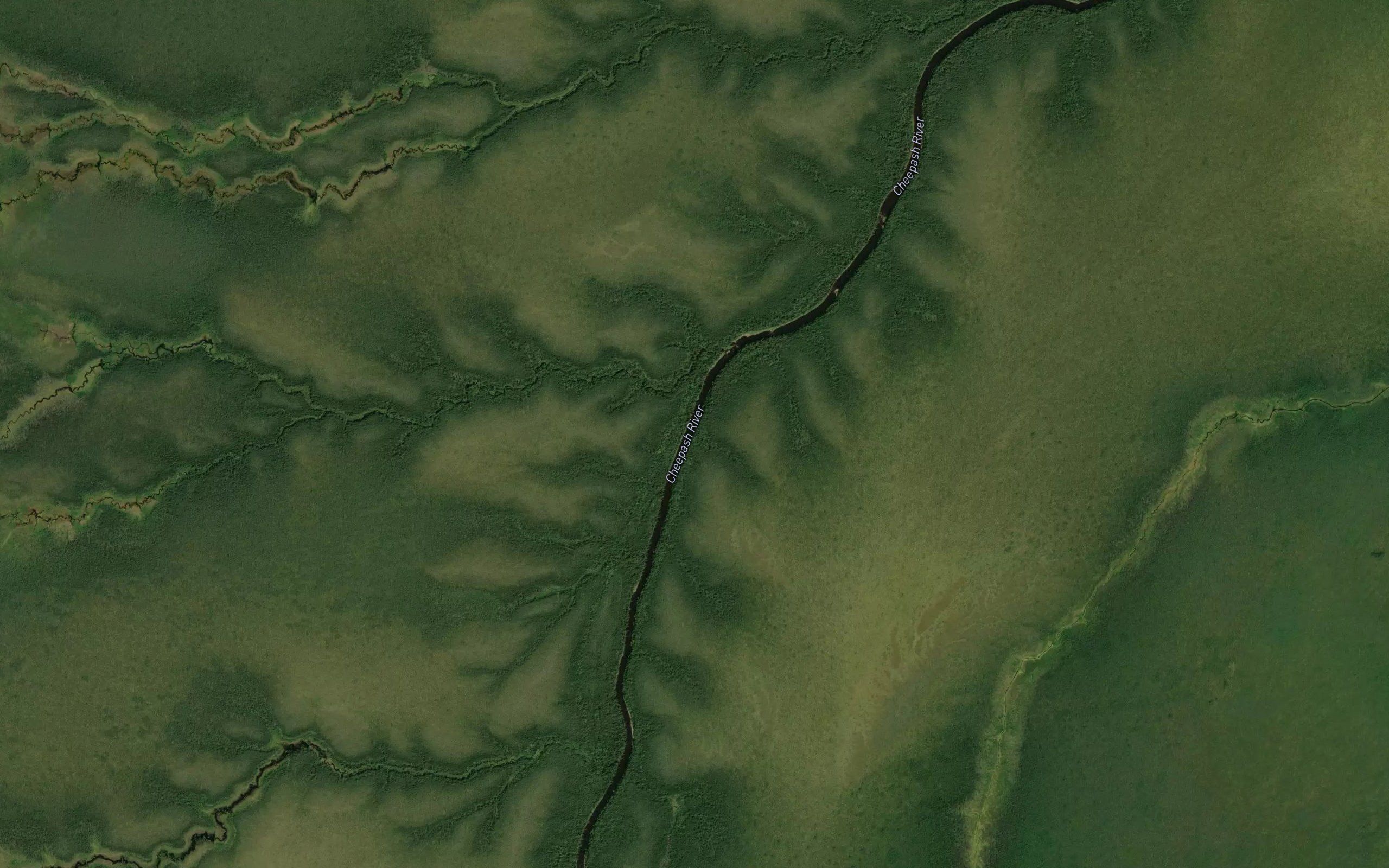 Survey Creek