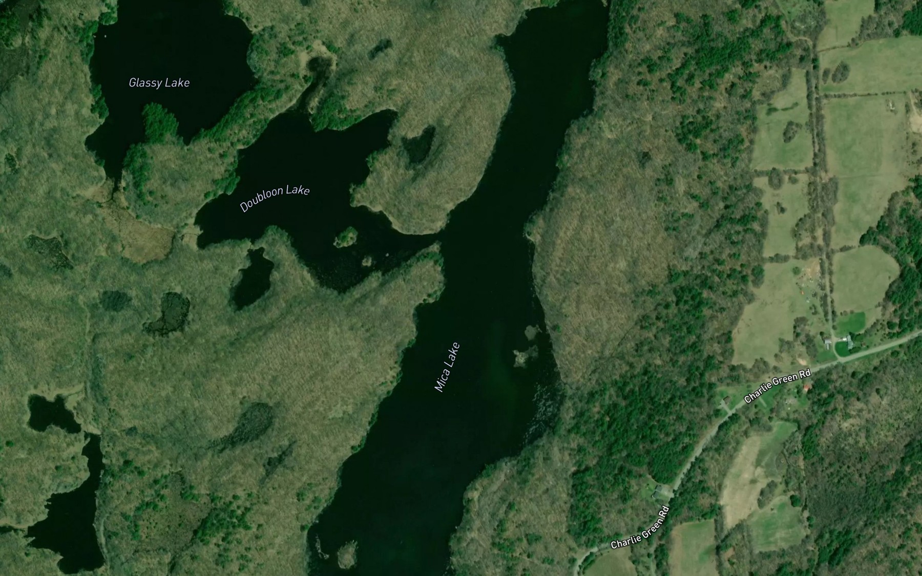 Satellite map of the Mica Lake